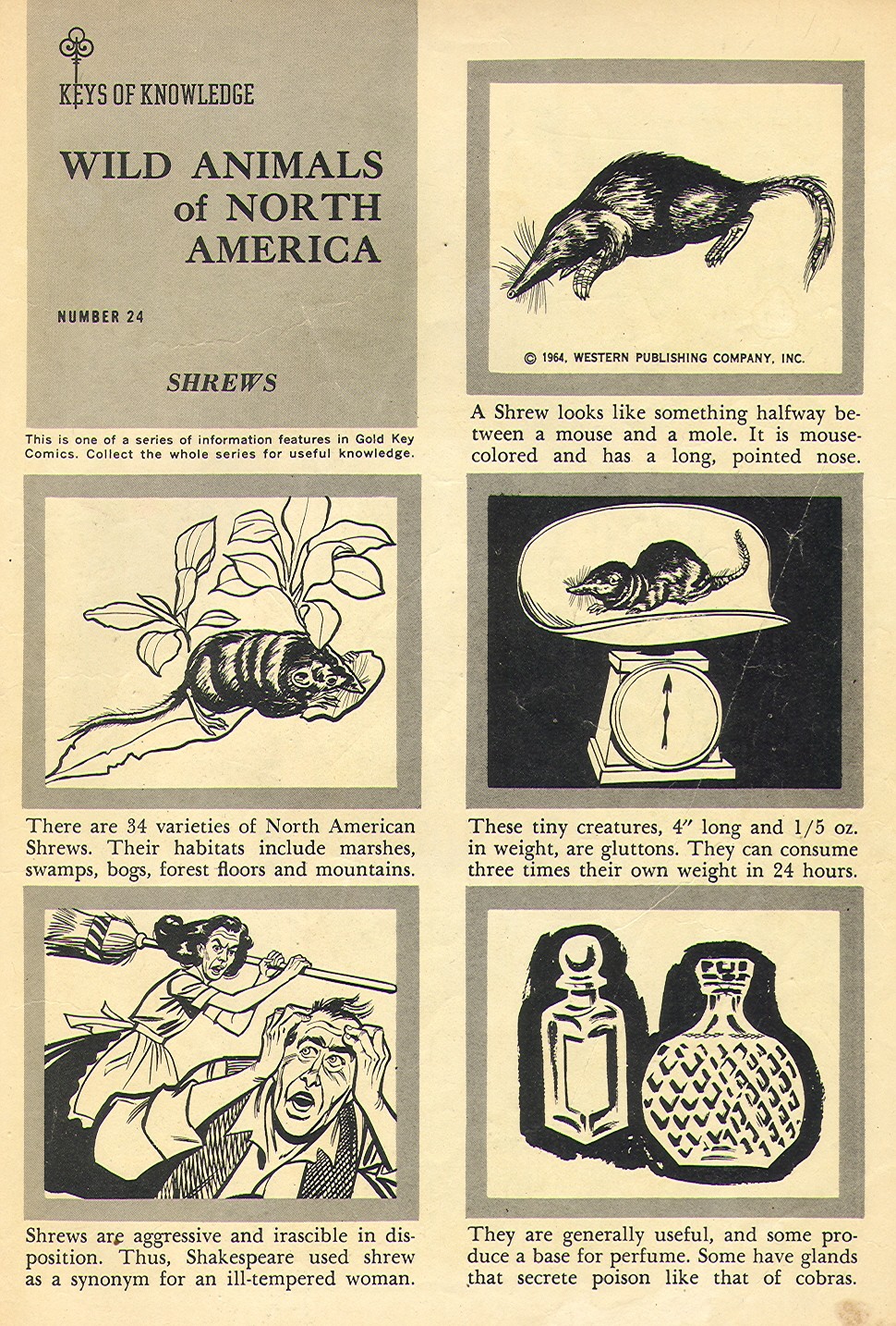 Read online Turok, Son of Stone comic -  Issue #42 - 35