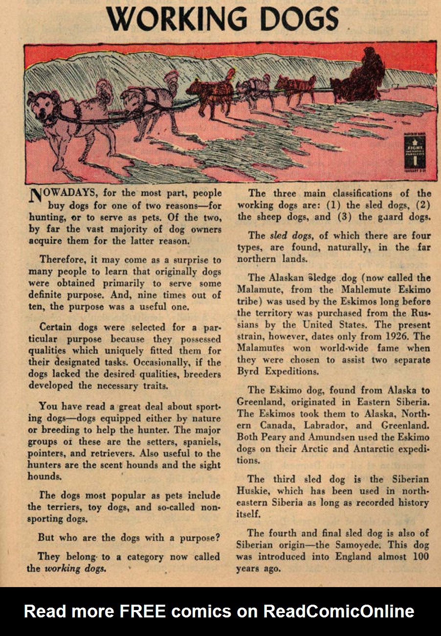 Read online The Adventures of Rex the Wonder Dog comic -  Issue #20 - 23