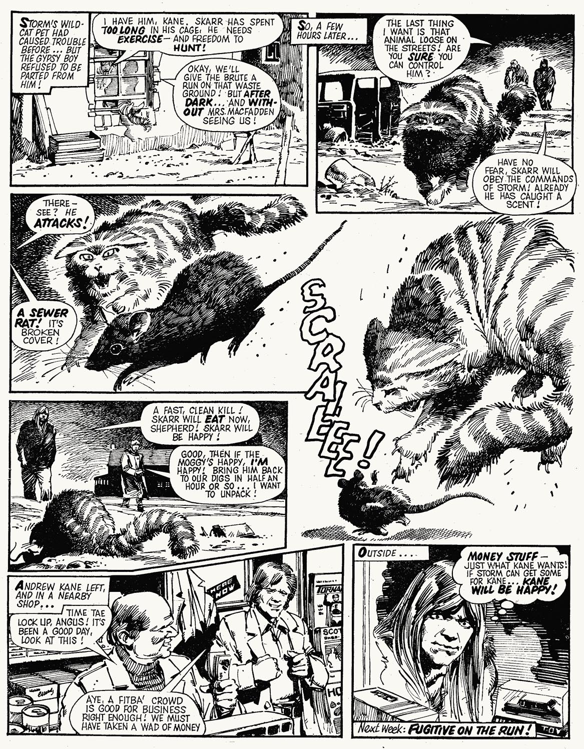 Read online Tornado comic -  Issue #17 - 9