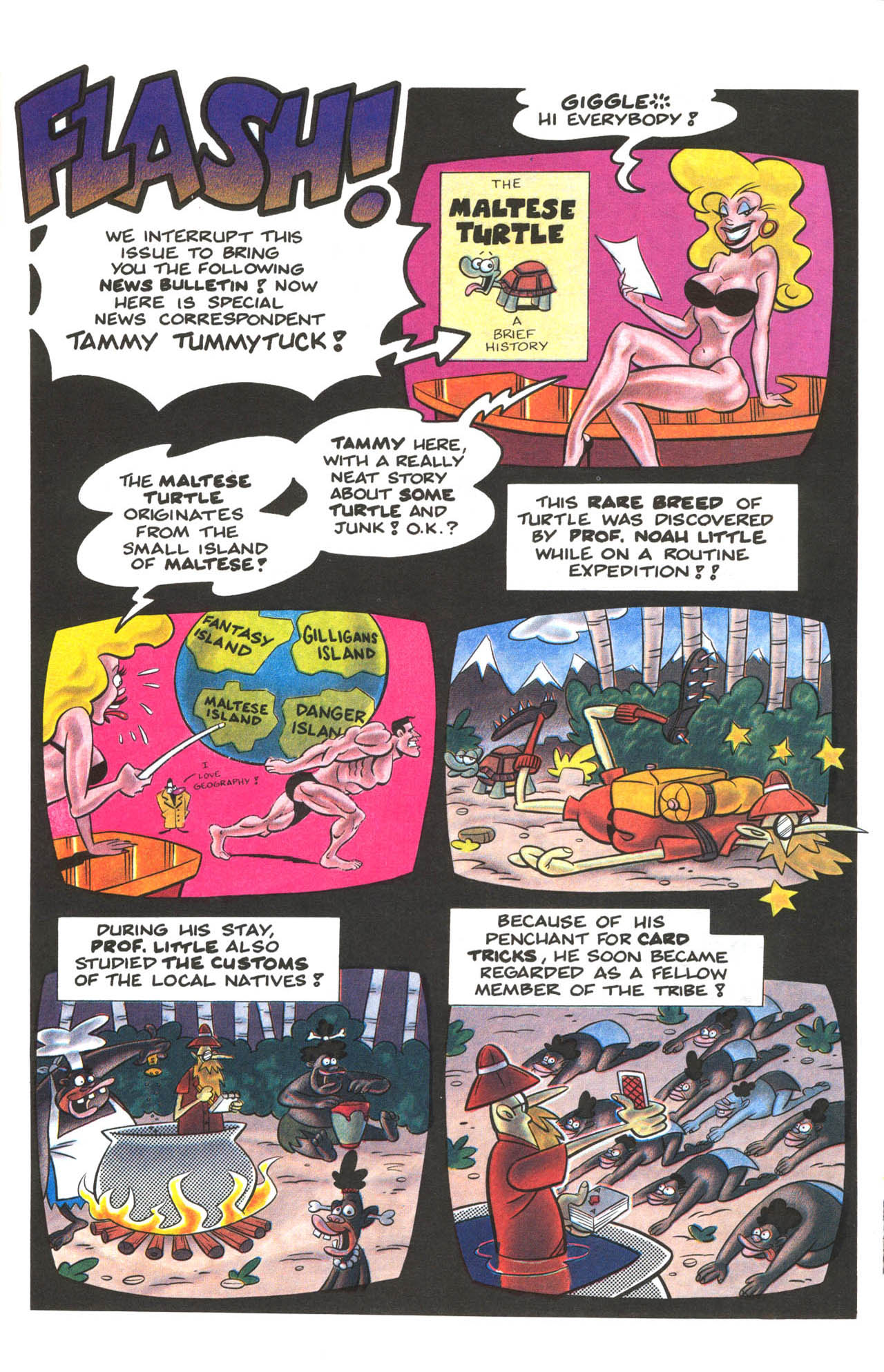 Read online Teenage Mutant Ninja Turtles: The Maltese Turtle comic -  Issue # Full - 34