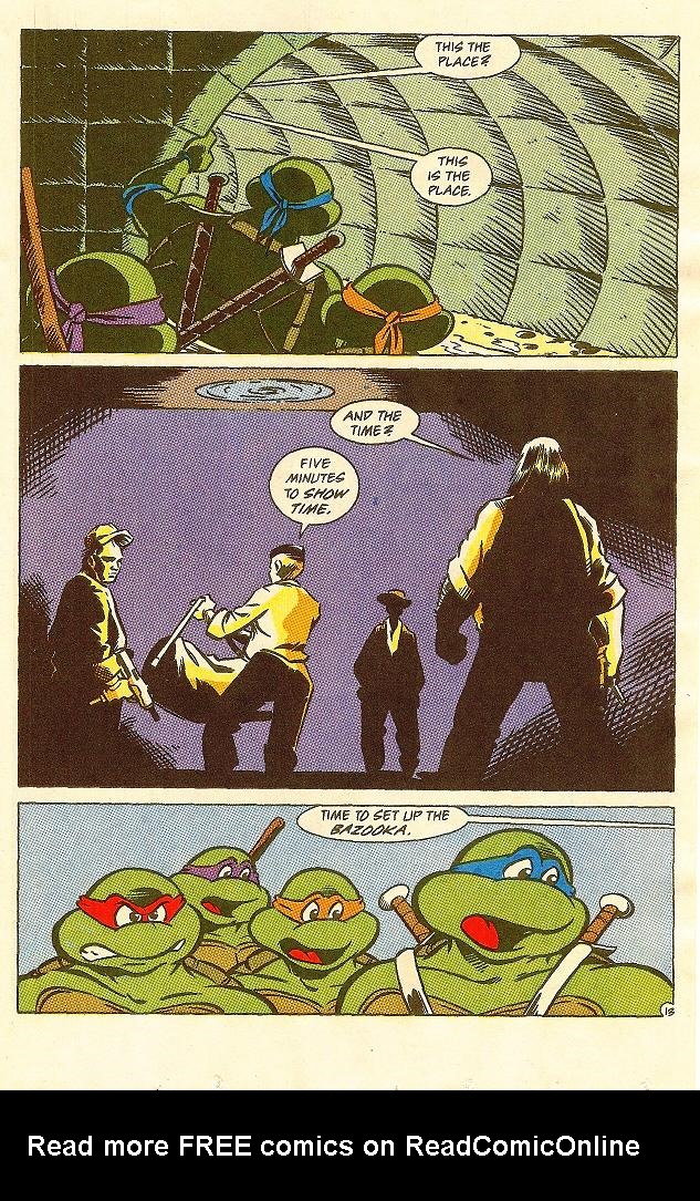 Read online Teenage Mutant Ninja Turtles Adventures (1989) comic -  Issue #23 - 14