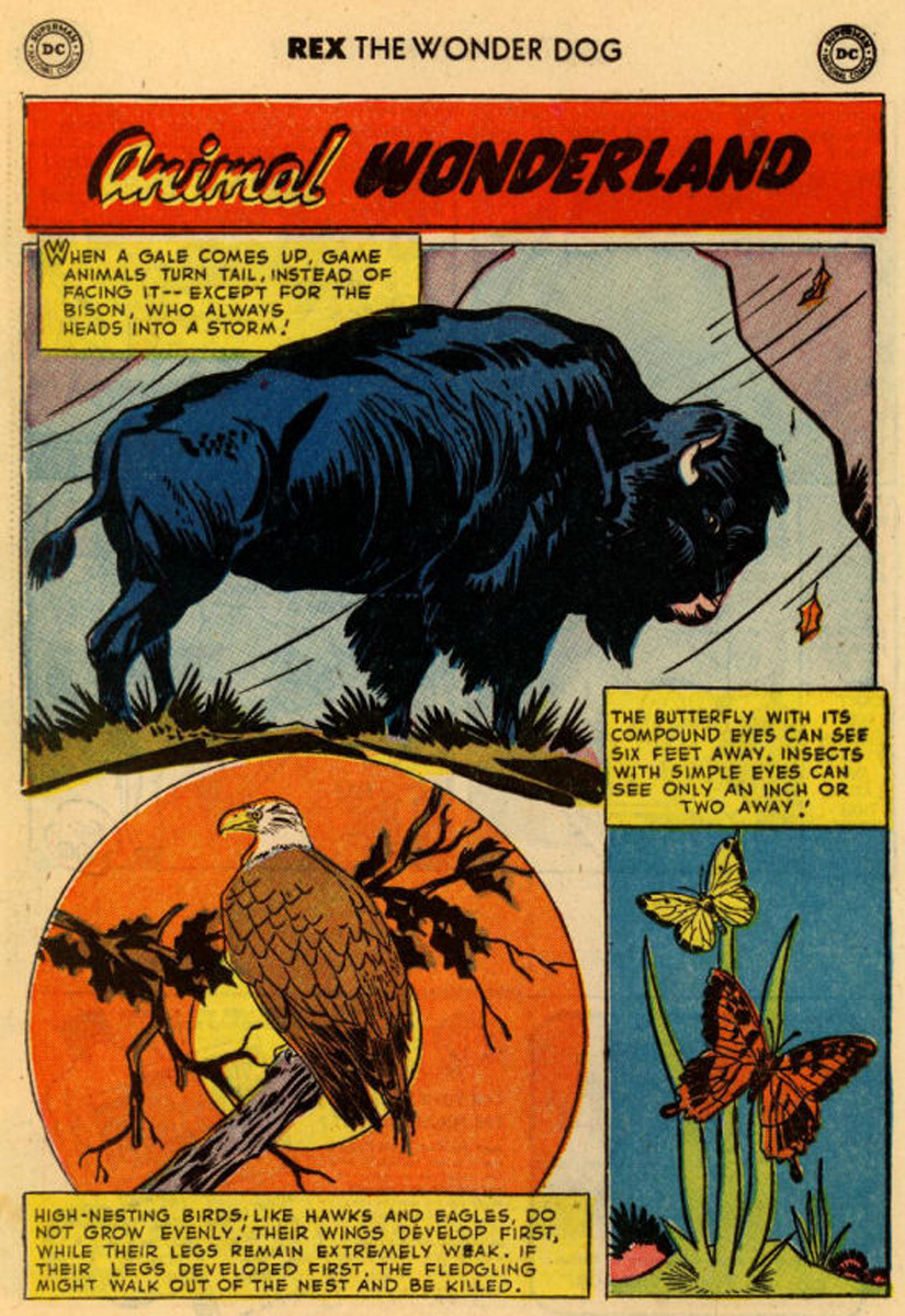 Read online The Adventures of Rex the Wonder Dog comic -  Issue #9 - 20