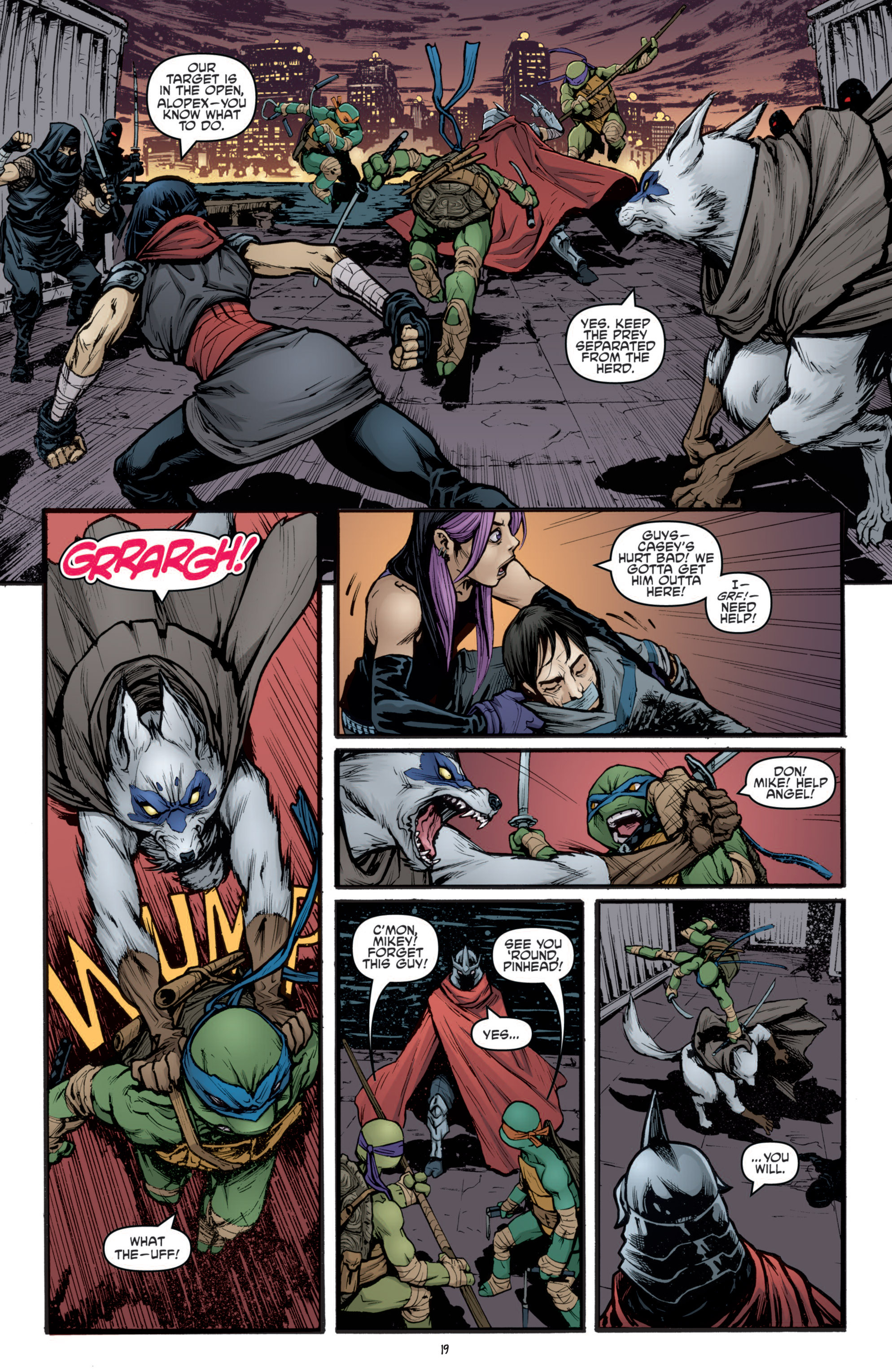 Read online Teenage Mutant Ninja Turtles (2011) comic -  Issue #22 - 25