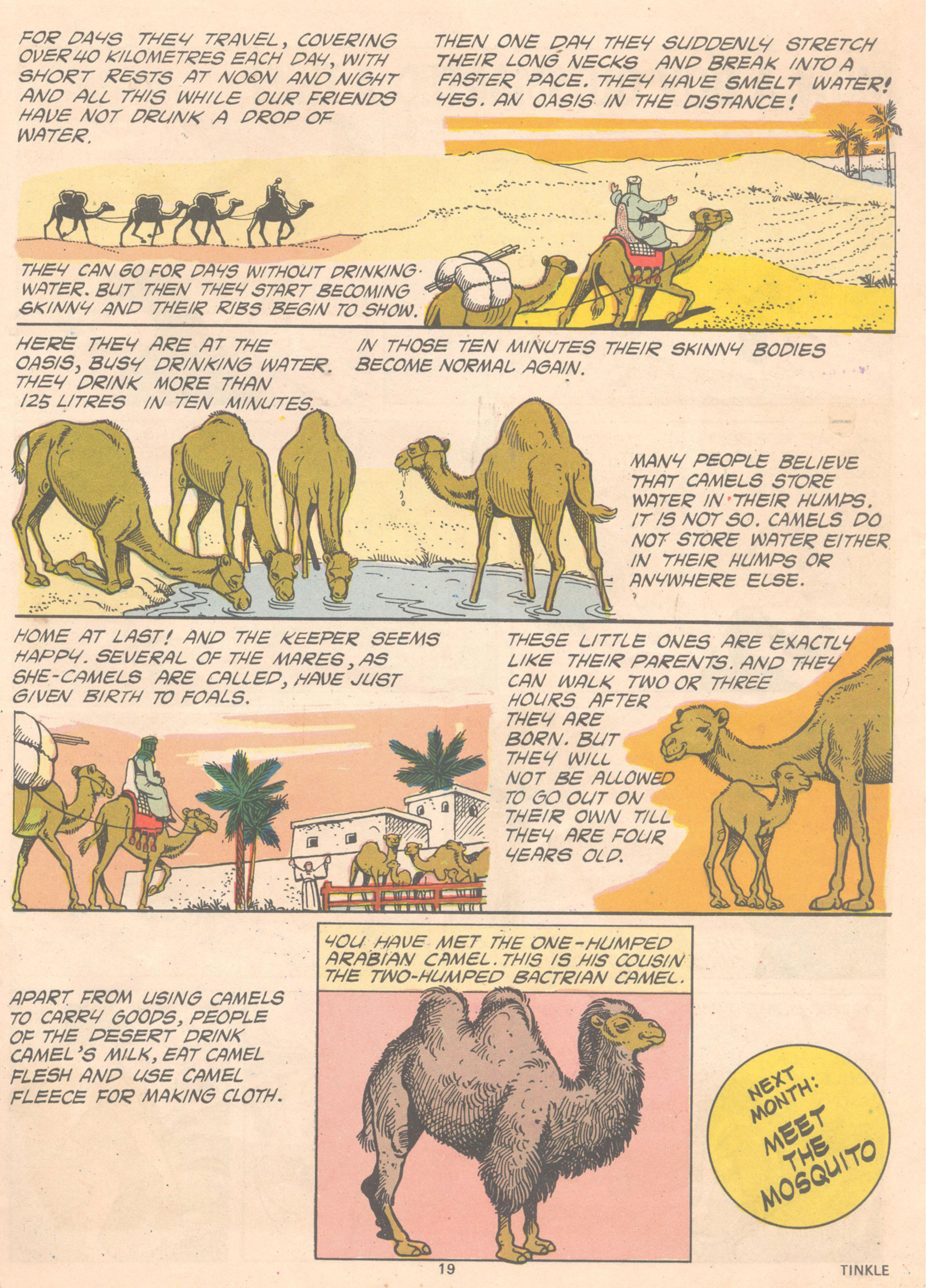 Read online Tinkle comic -  Issue #12 - 21