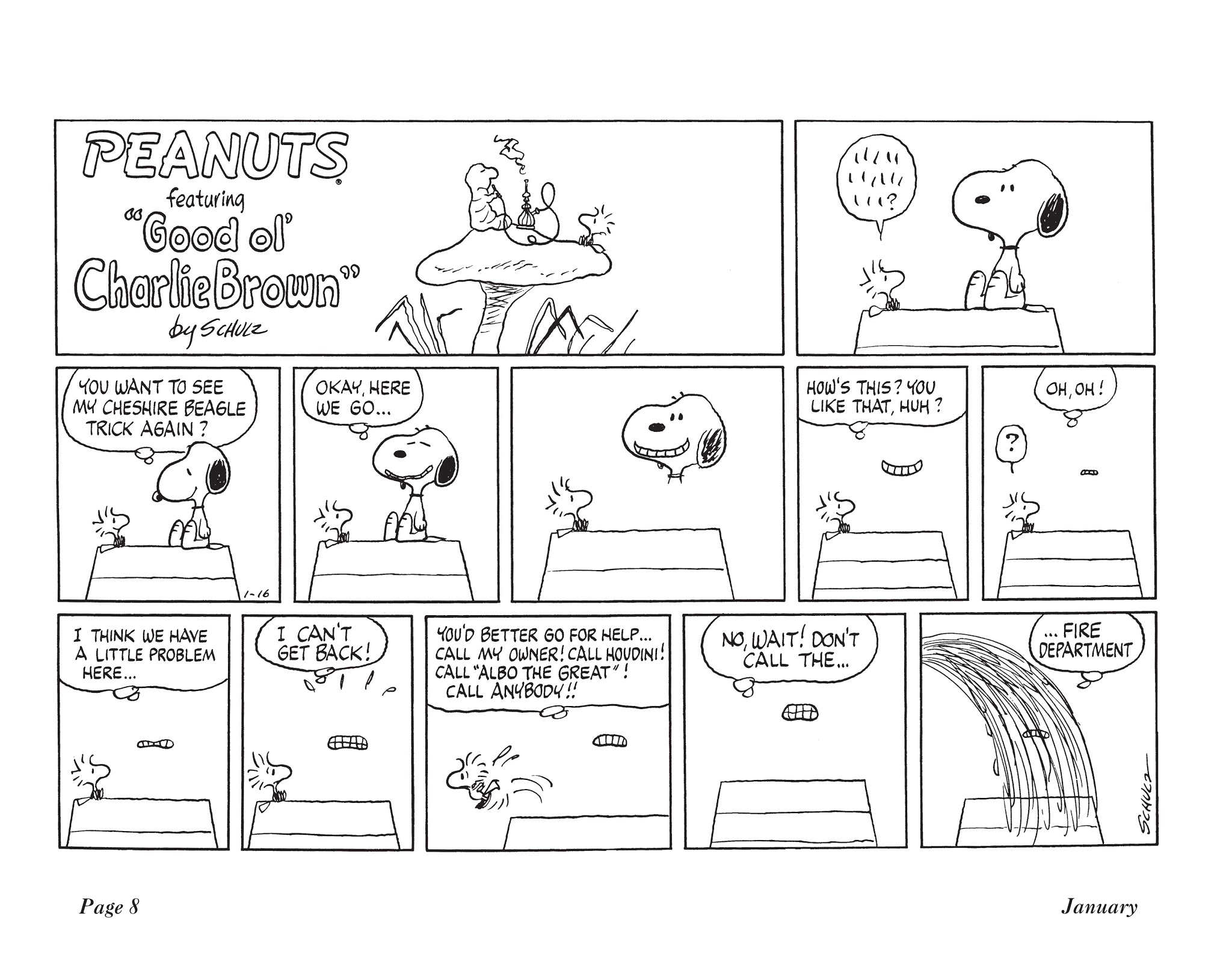 Read online The Complete Peanuts comic -  Issue # TPB 14 - 25