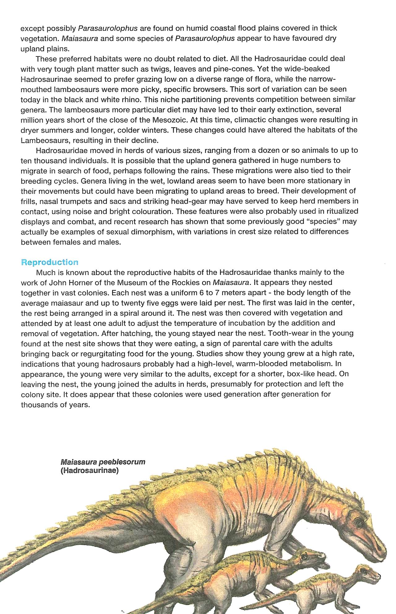 Read online Dinosaurs, A Celebration comic -  Issue #3 - 24