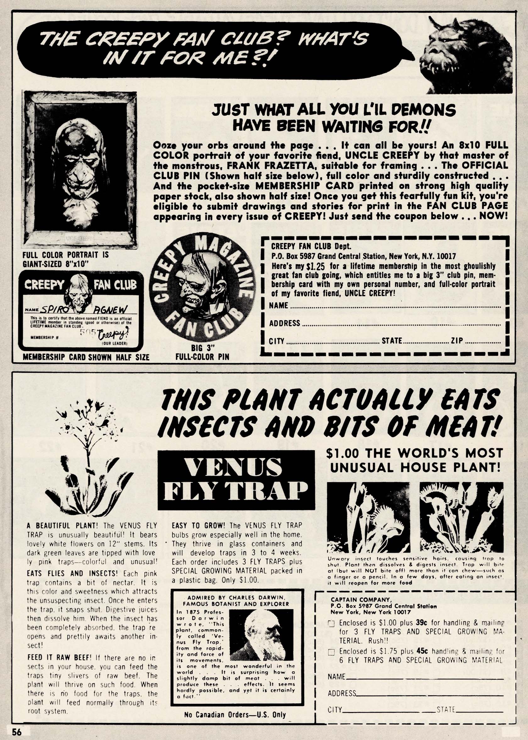 Read online Vampirella (1969) comic -  Issue #8 - 56