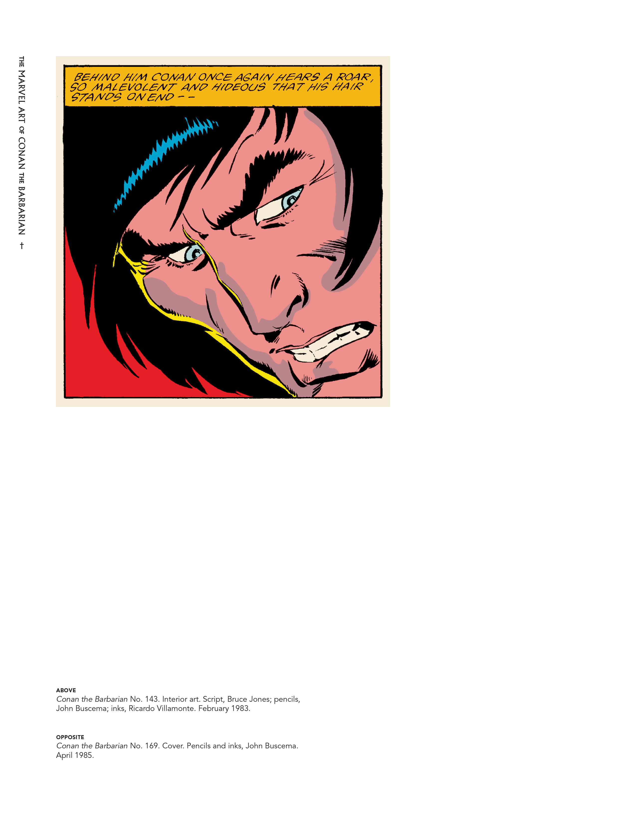 Read online Marvel Art of Conan the Barbarian comic -  Issue # TPB (Part 2) - 38