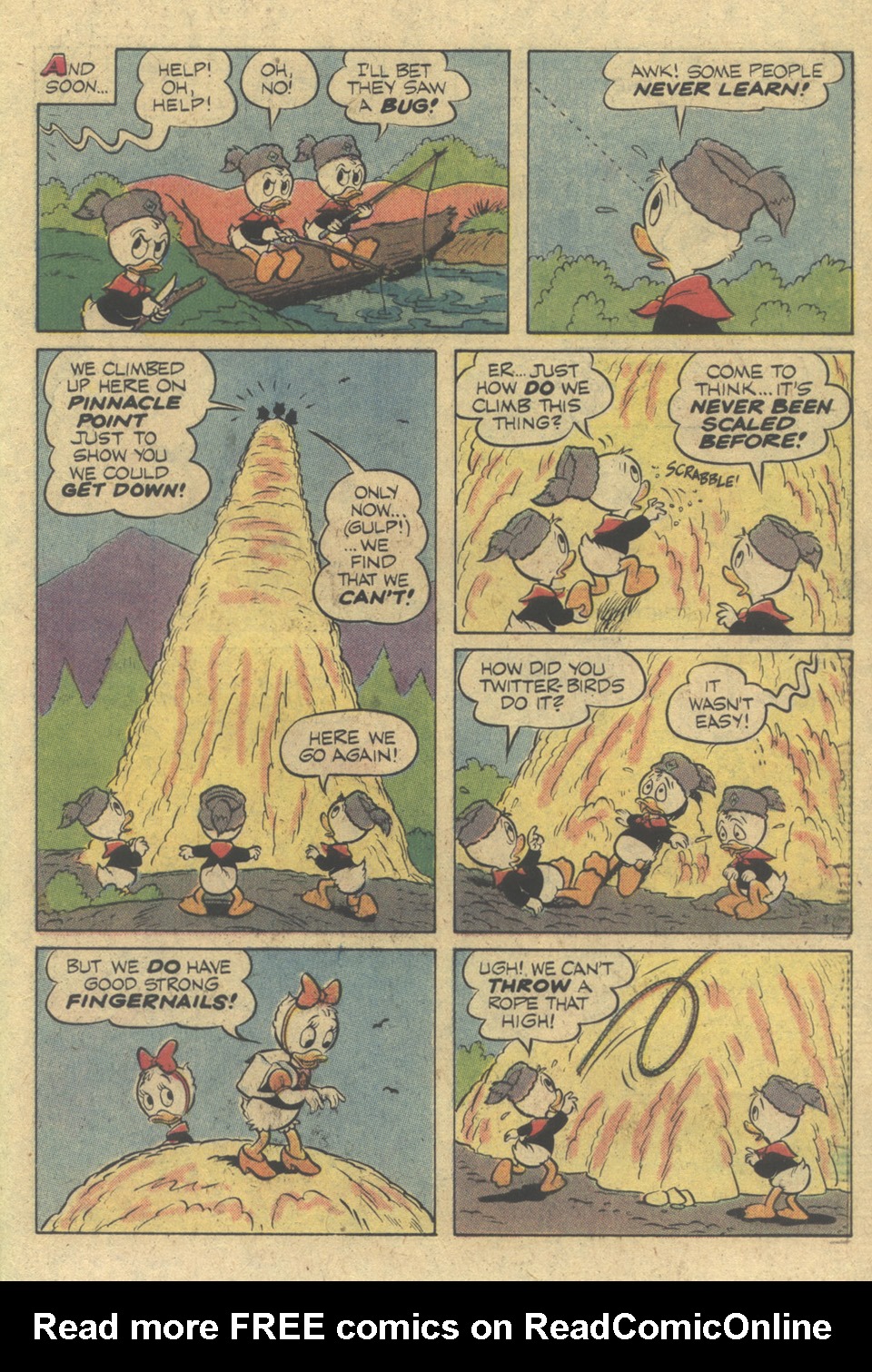 Read online Huey, Dewey, and Louie Junior Woodchucks comic -  Issue #47 - 27