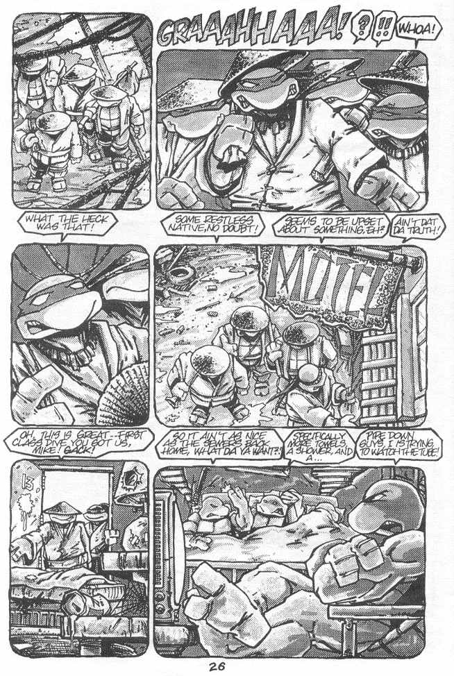 Teenage Mutant Ninja Turtles (1984) Issue #18 #18 - English 29