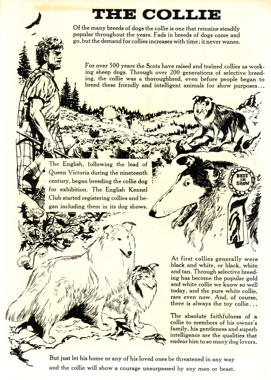 Read online Four Color Comics comic -  Issue #1303 - 35