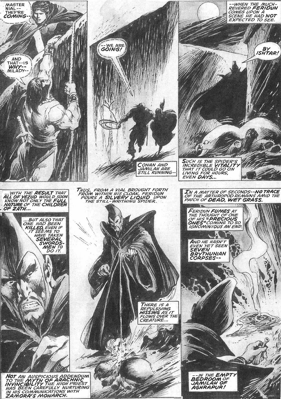 The Savage Sword Of Conan issue 209 - Page 42
