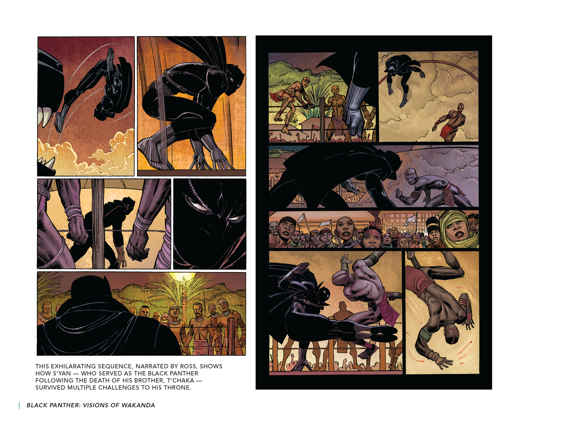 Read online Black Panther: Visions of Wakanda comic -  Issue # TPB (Part 2) - 92