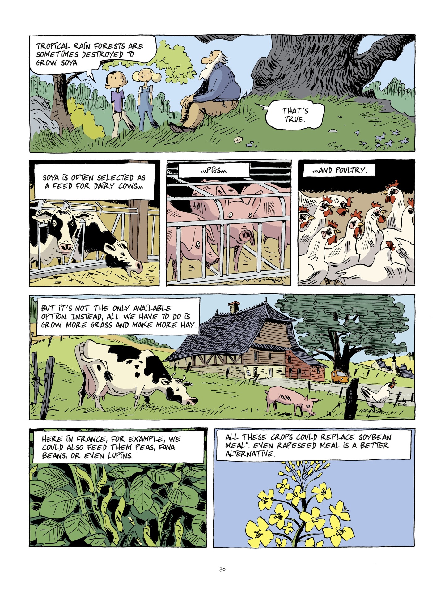 Read online Hubert Reeves Explains comic -  Issue #2 - 35