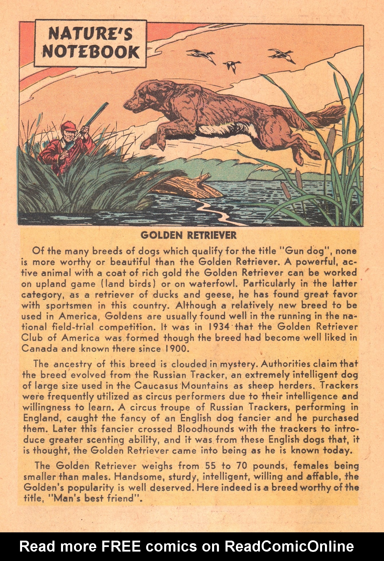 Read online Archie's Pal Jughead comic -  Issue #50 - 20