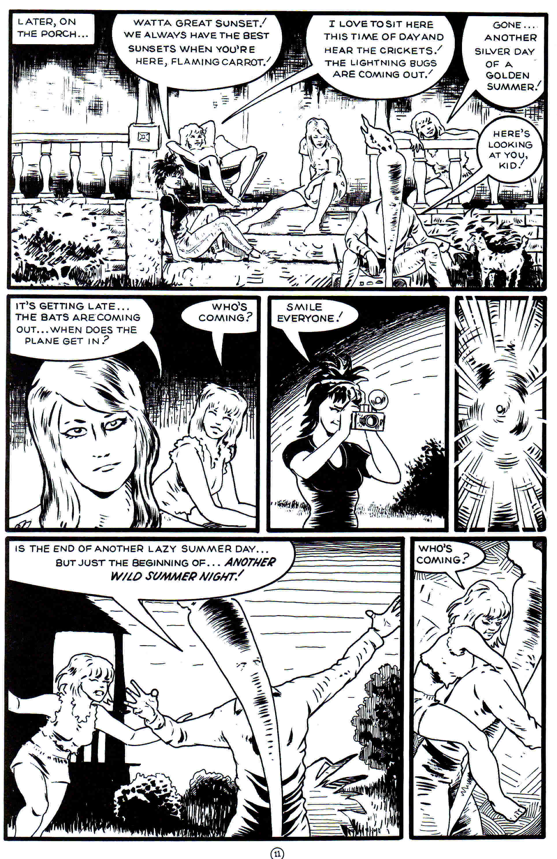 Read online Flaming Carrot Comics (1988) comic -  Issue #19 - 13