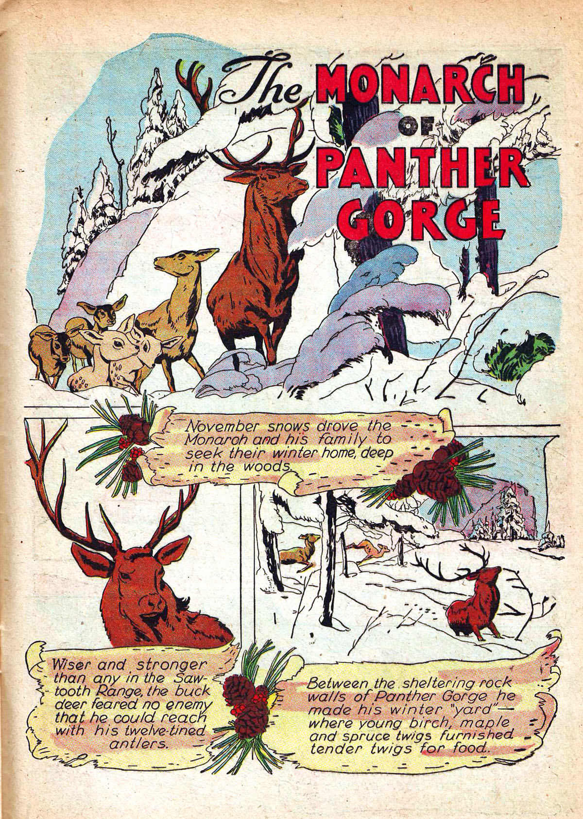 Read online Animal Comics comic -  Issue #1 - 49