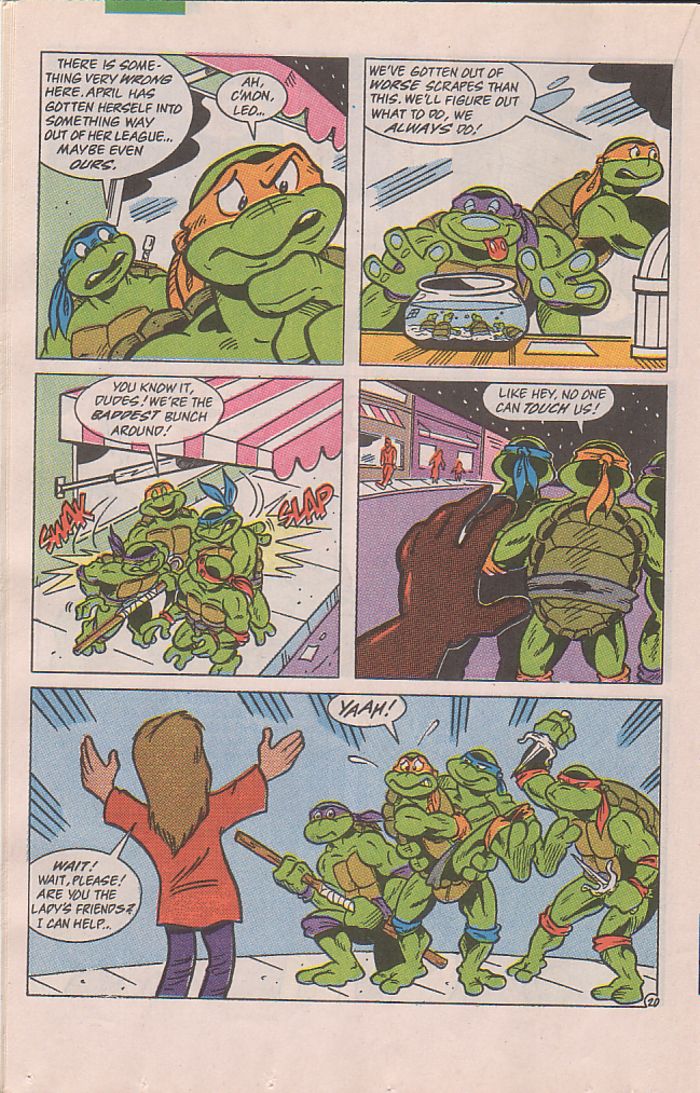 Read online Teenage Mutant Ninja Turtles Adventures (1989) comic -  Issue #27 - 21