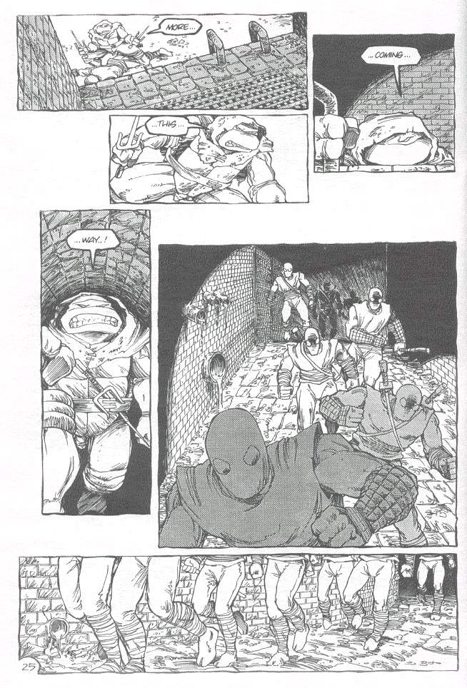 Teenage Mutant Ninja Turtles (1984) Issue #19 #19 - English 26