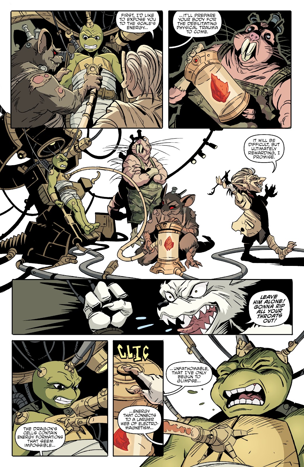 Teenage Mutant Ninja Turtles (2011) issue 128 - Page 14