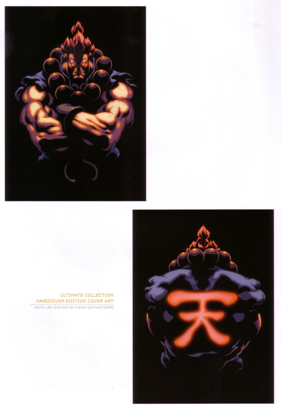 Read online UDON's Art of Capcom comic -  Issue # TPB (Part 2) - 65