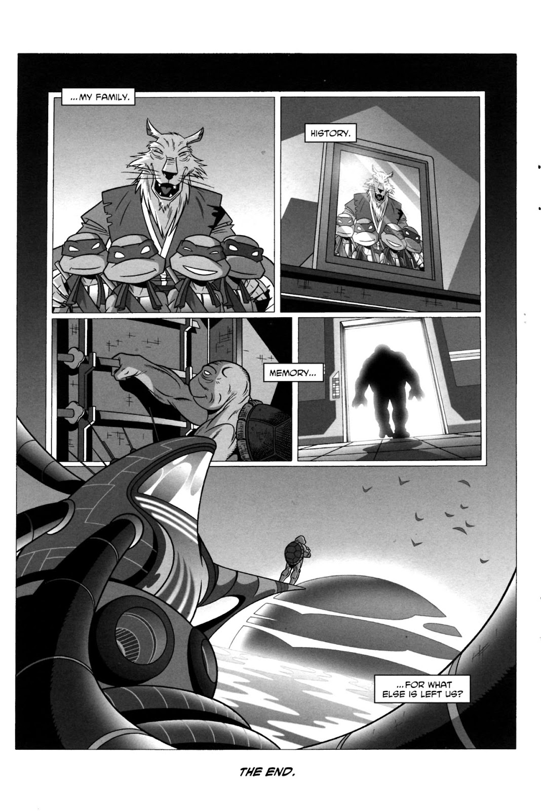 Tales of the TMNT issue 38 - Page 27