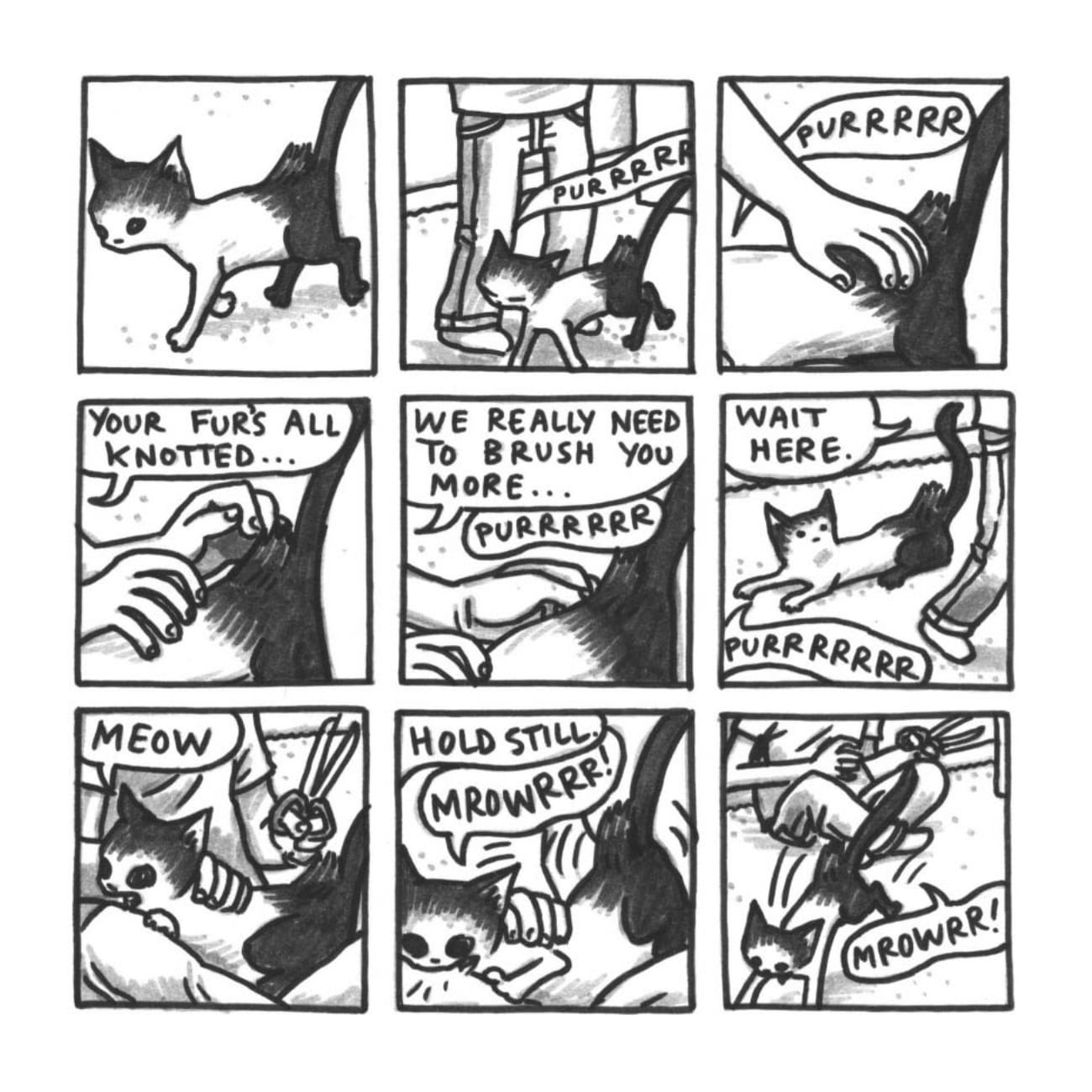 Read online Cats are Weird and More Observations comic -  Issue # TPB - 82