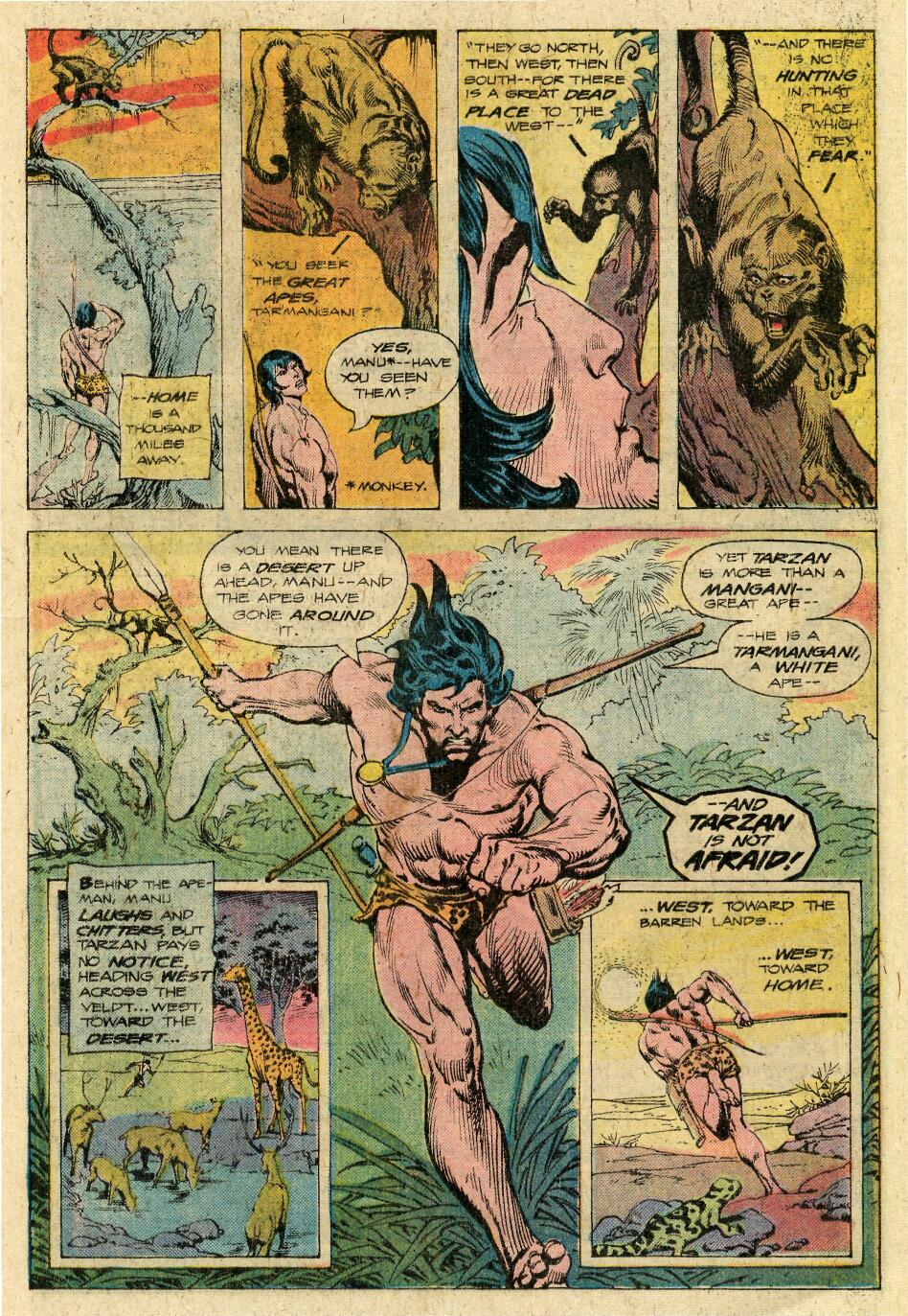 Read online Tarzan (1972) comic -  Issue #253 - 9