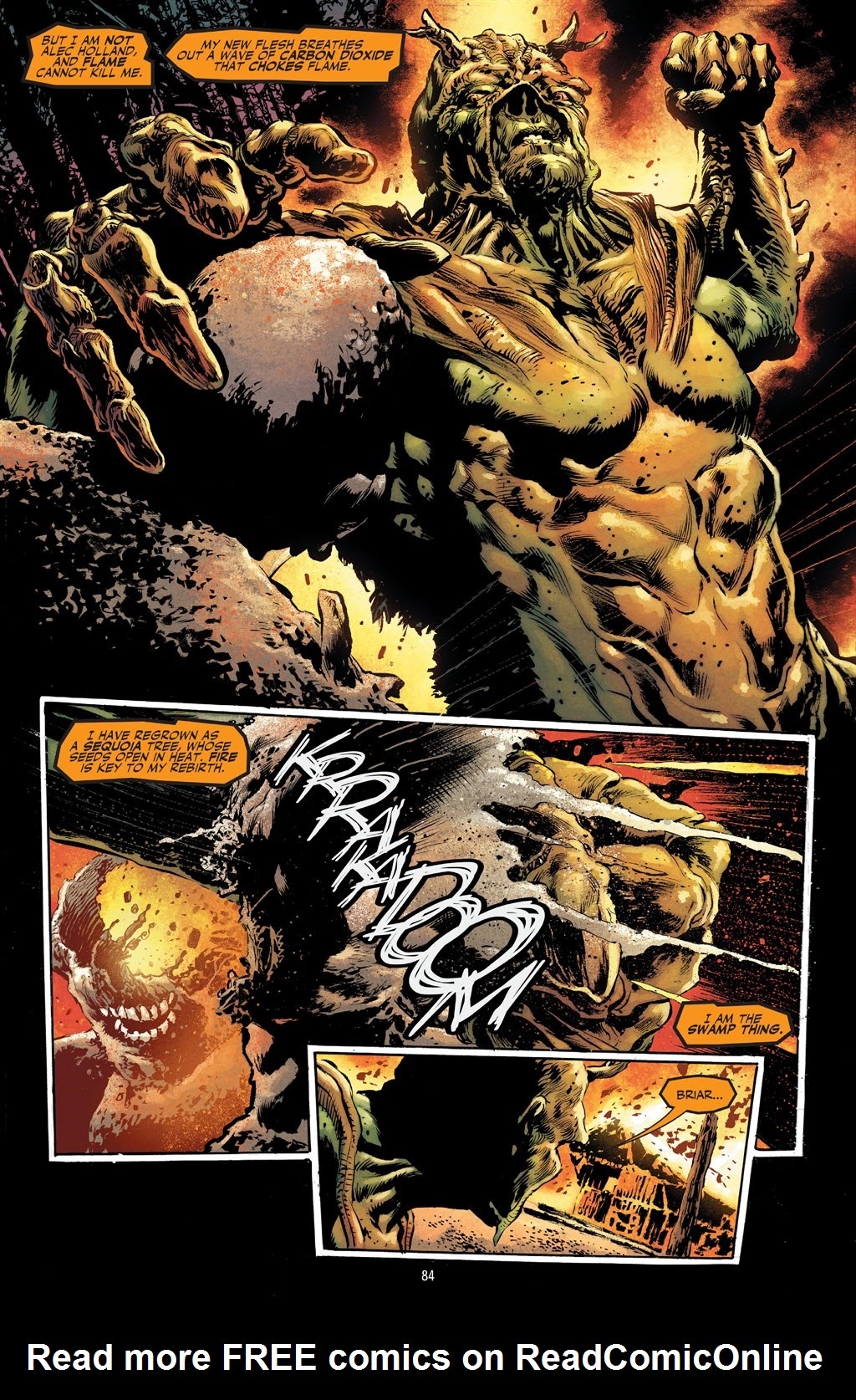 Read online Swamp Thing: Tales From the Bayou comic -  Issue # TPB (Part 1) - 82