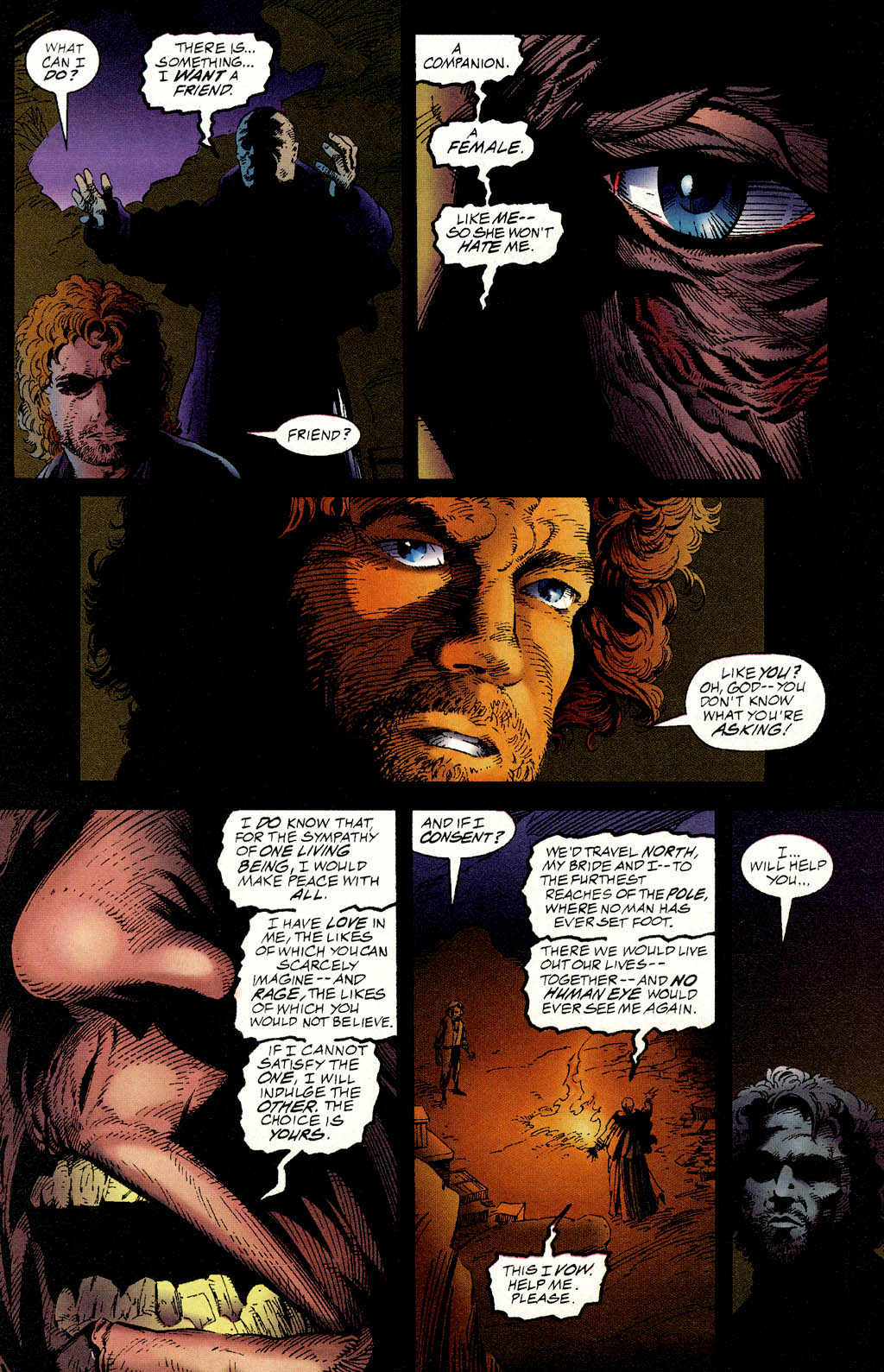 Read online Mary Shelley's Frankenstein comic -  Issue #3 - 18