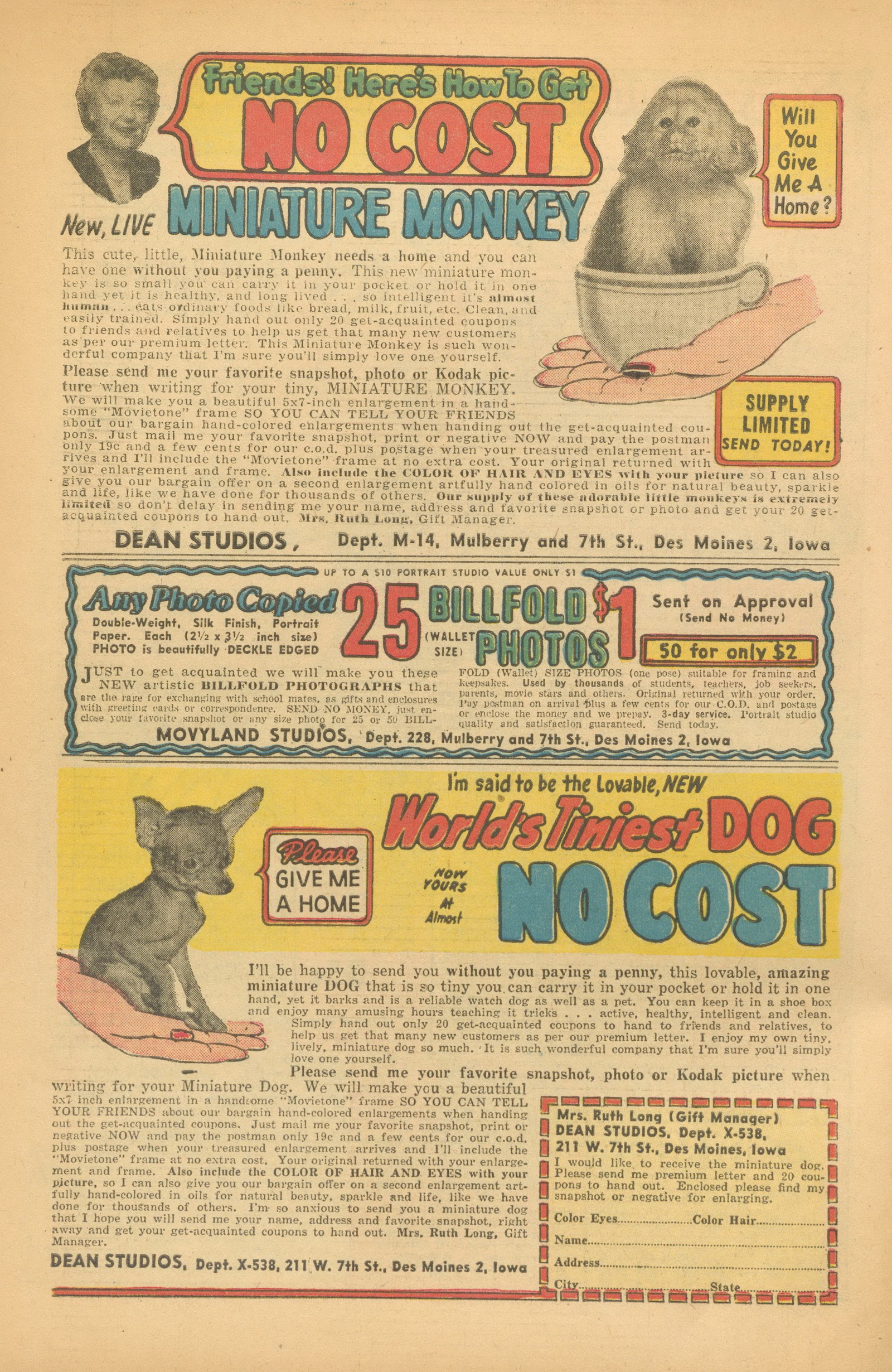 Read online Felix the Cat (1955) comic -  Issue #89 - 34