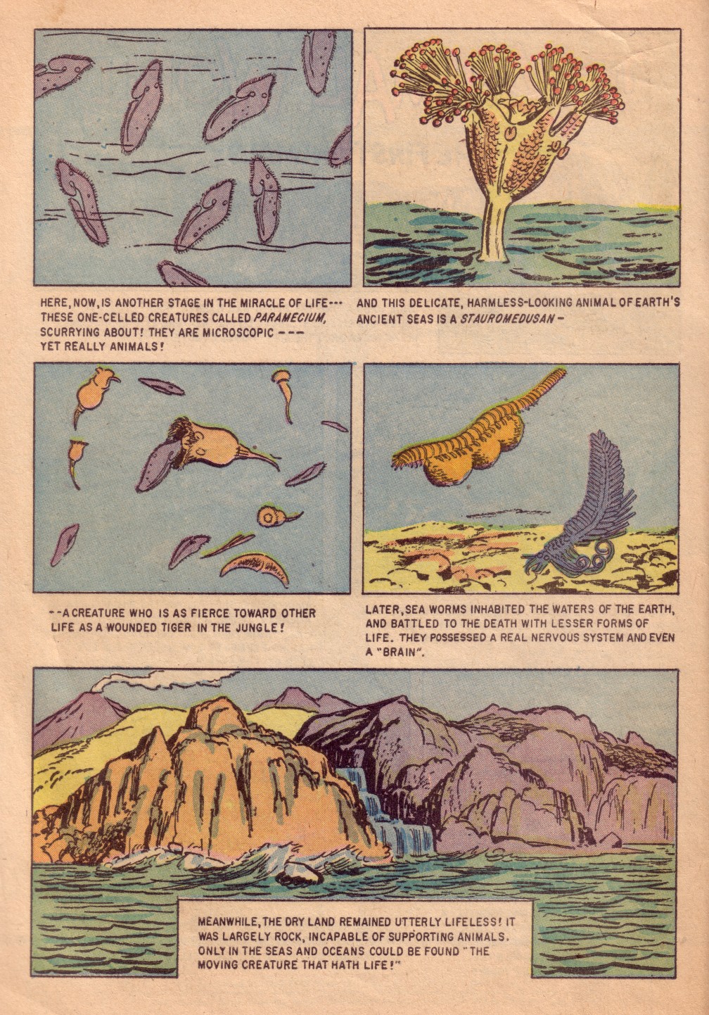 Read online Four Color Comics comic -  Issue #713 - 4