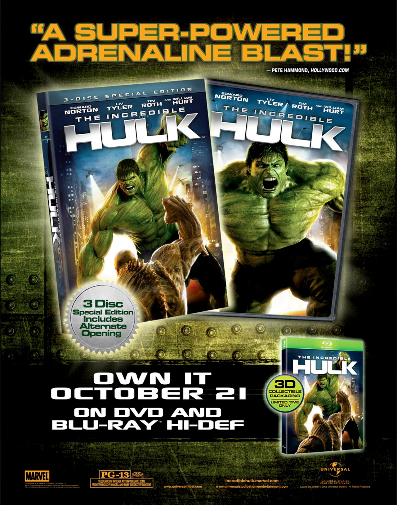 Incredible Hulk: The Fury Files Issue #2 #2 - English 9