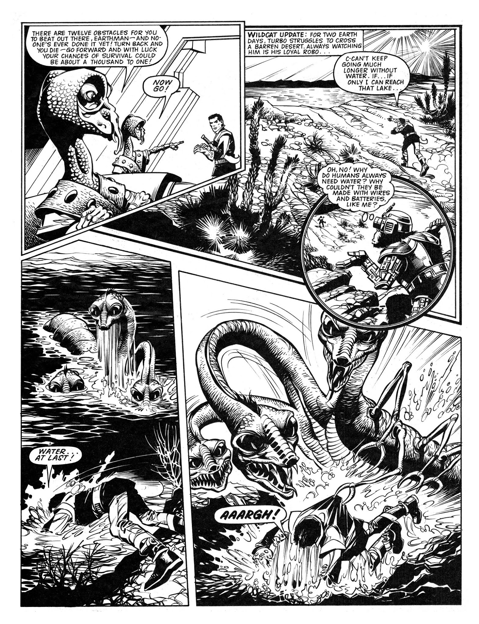 Read online Wildcat comic -  Issue #12 - 3