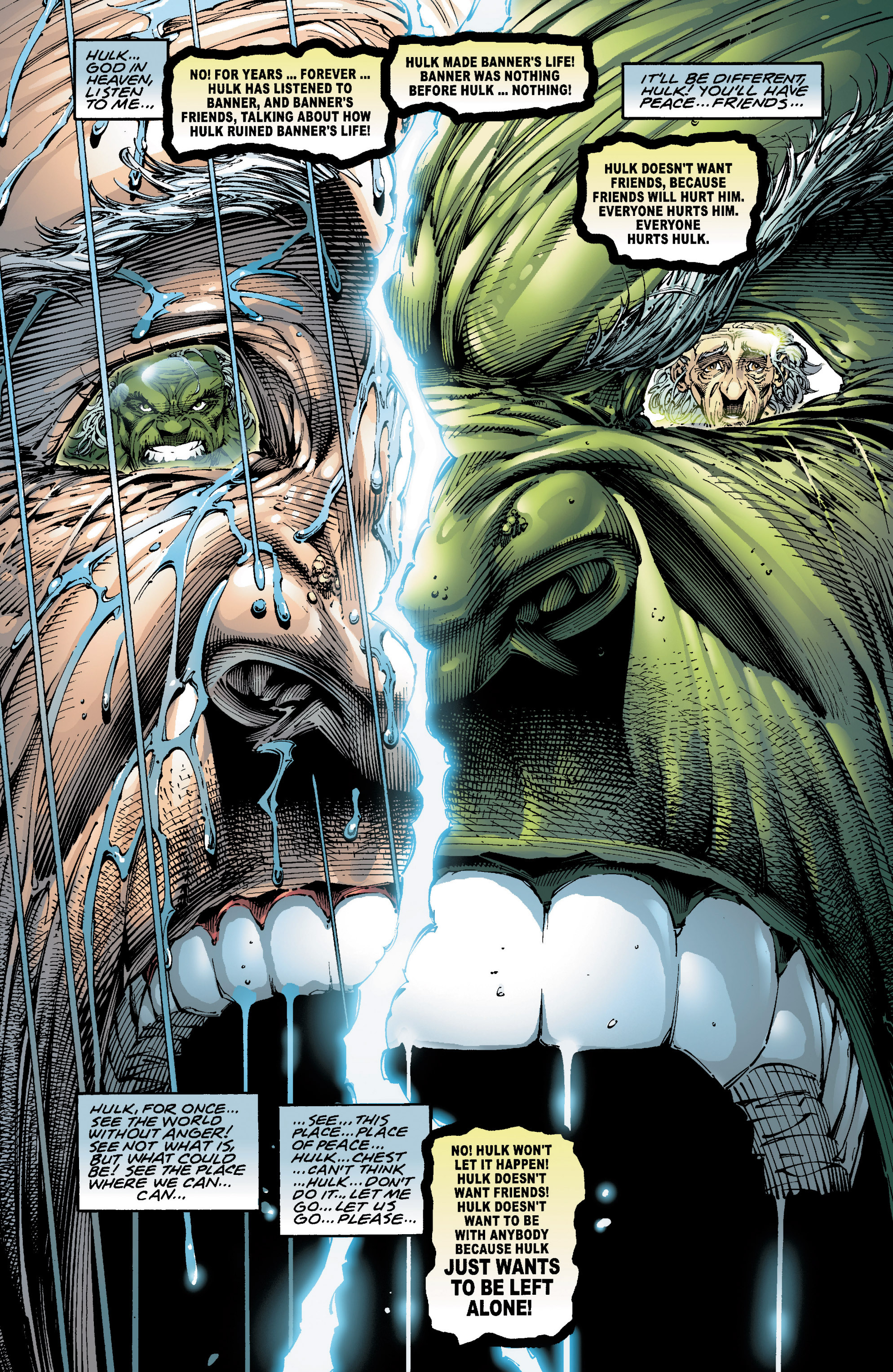 Read online Incredible Hulk: The End comic -  Issue # TPB - 43