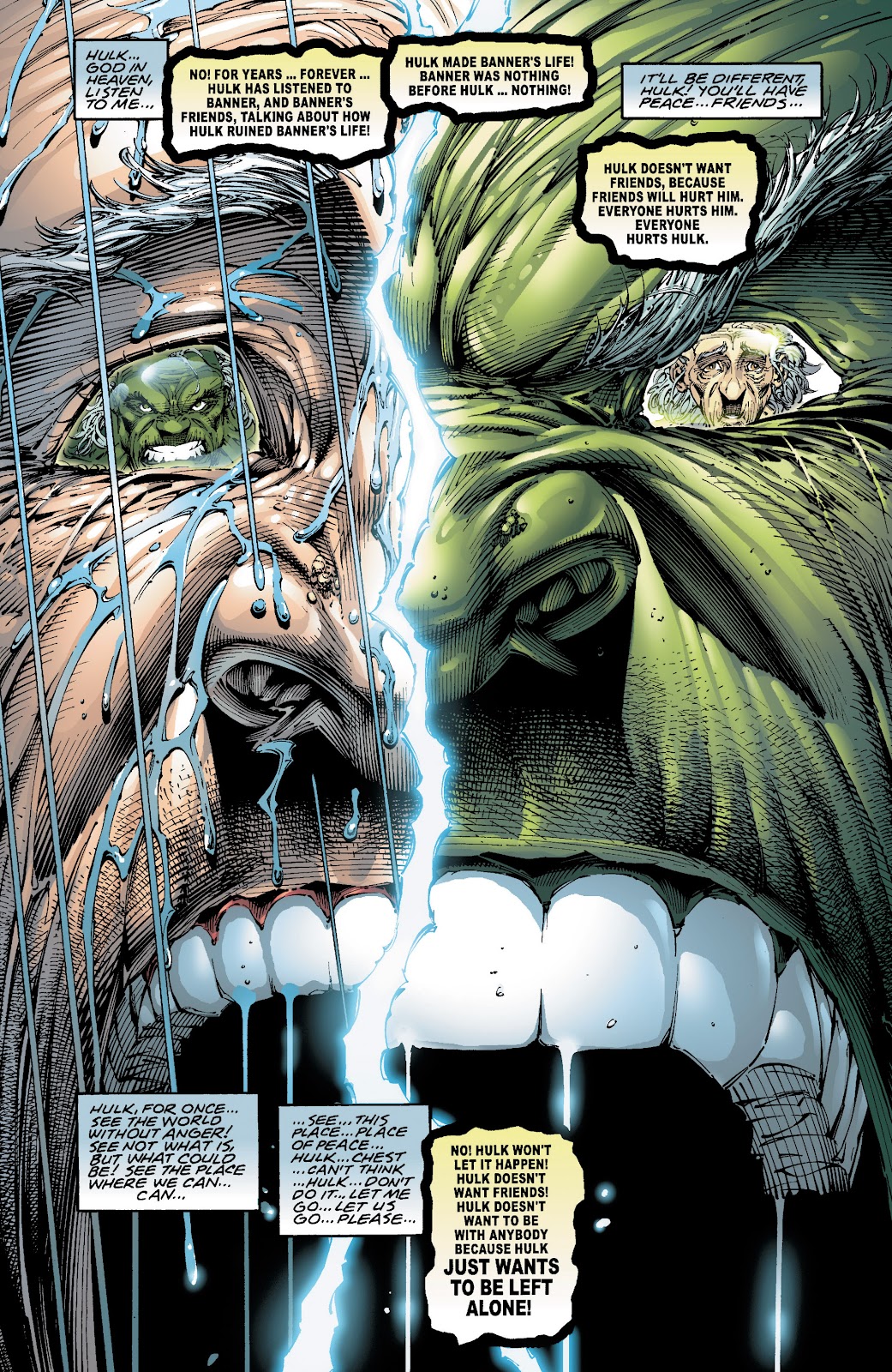 Incredible Hulk: The End issue TPB - Page 43