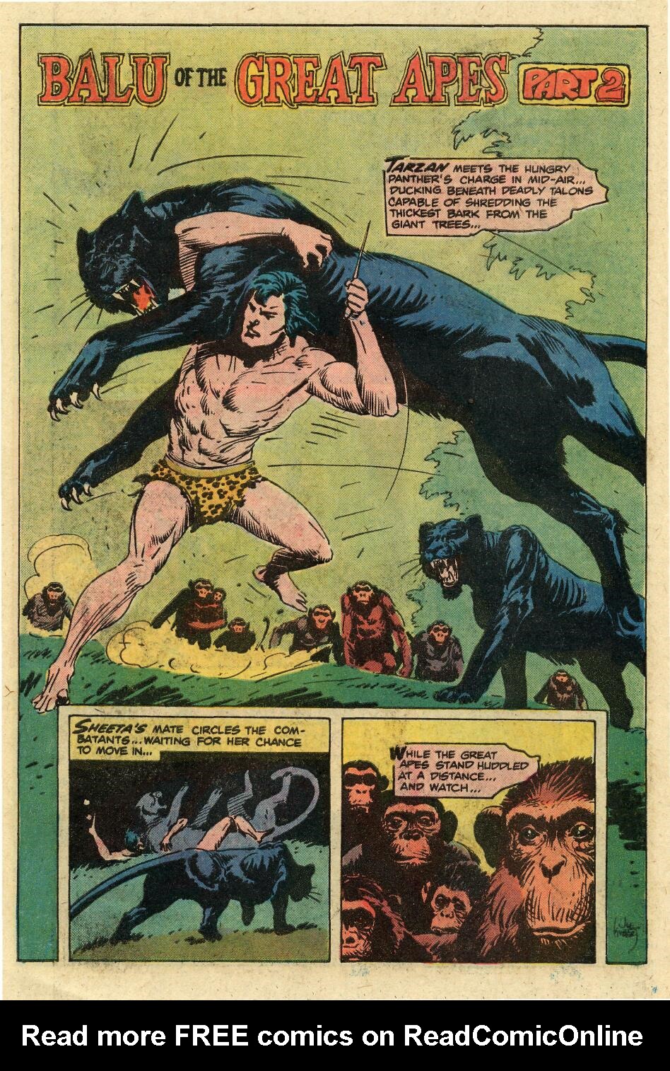 Read online Tarzan (1972) comic -  Issue #253 - 26