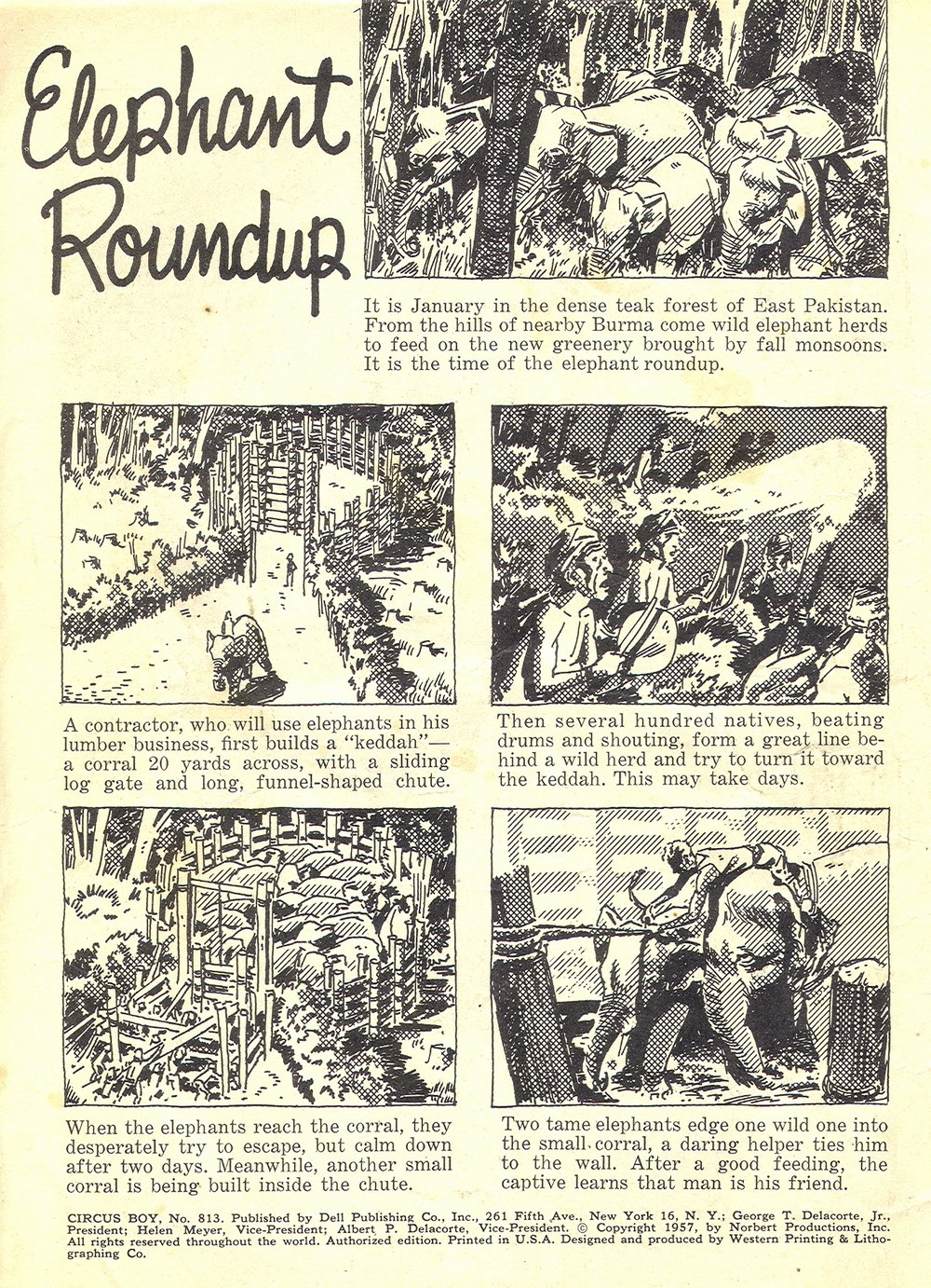 Read online Four Color Comics comic -  Issue #813 - 2