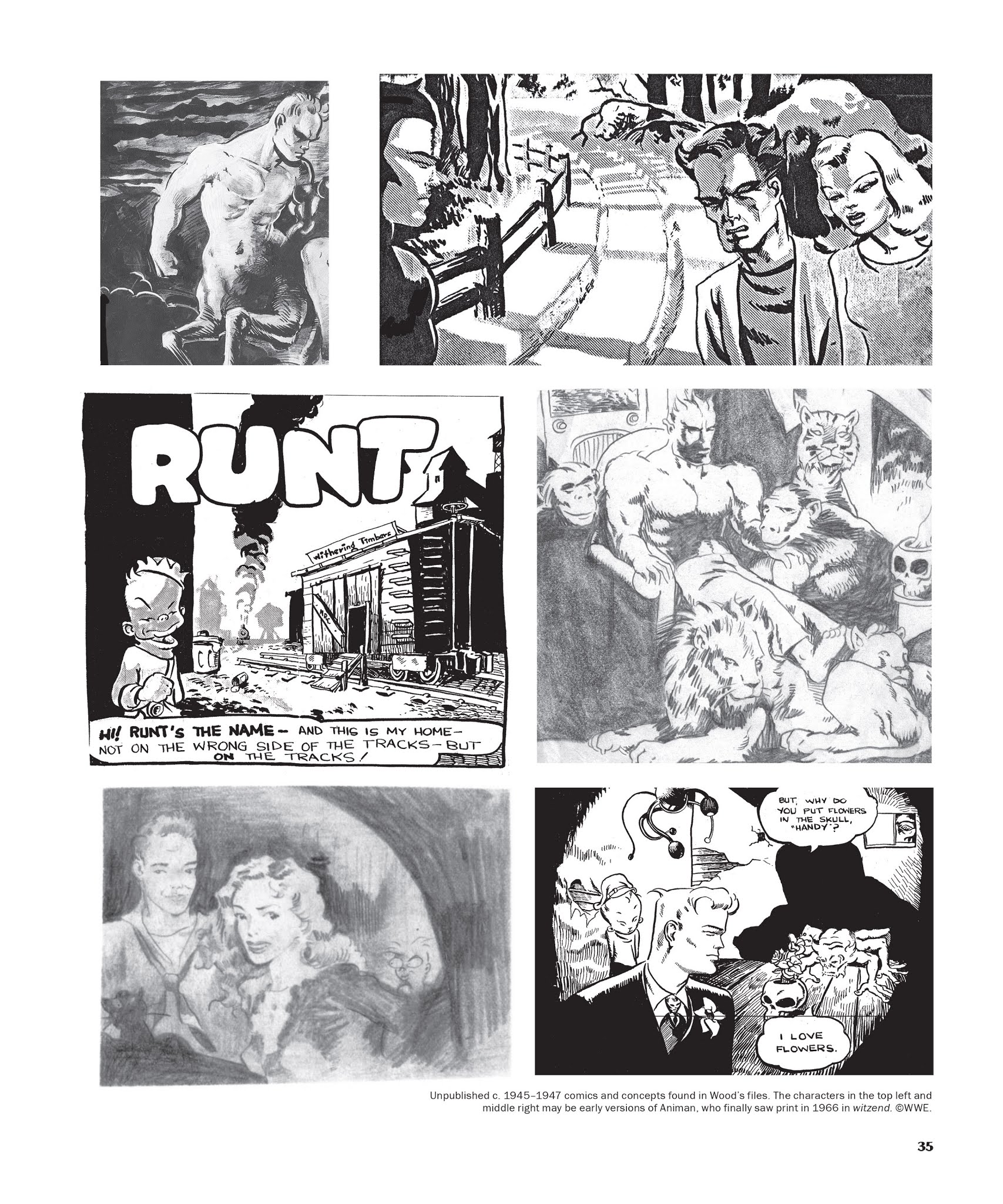 Read online The Life and Legend of Wallace Wood comic -  Issue # TPB 1 - 36