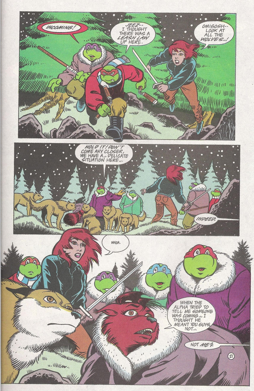 Read online Teenage Mutant Ninja Turtles Adventures (1989) comic -  Issue #67 - 23