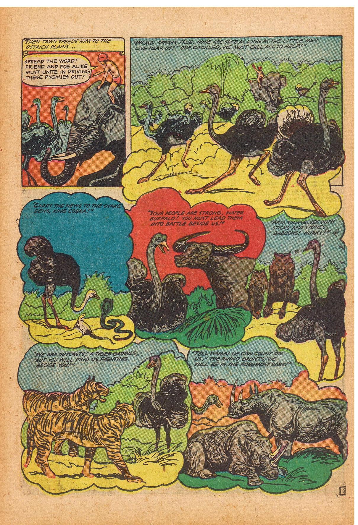 Read online Wambi Jungle Boy comic -  Issue #14 - 11