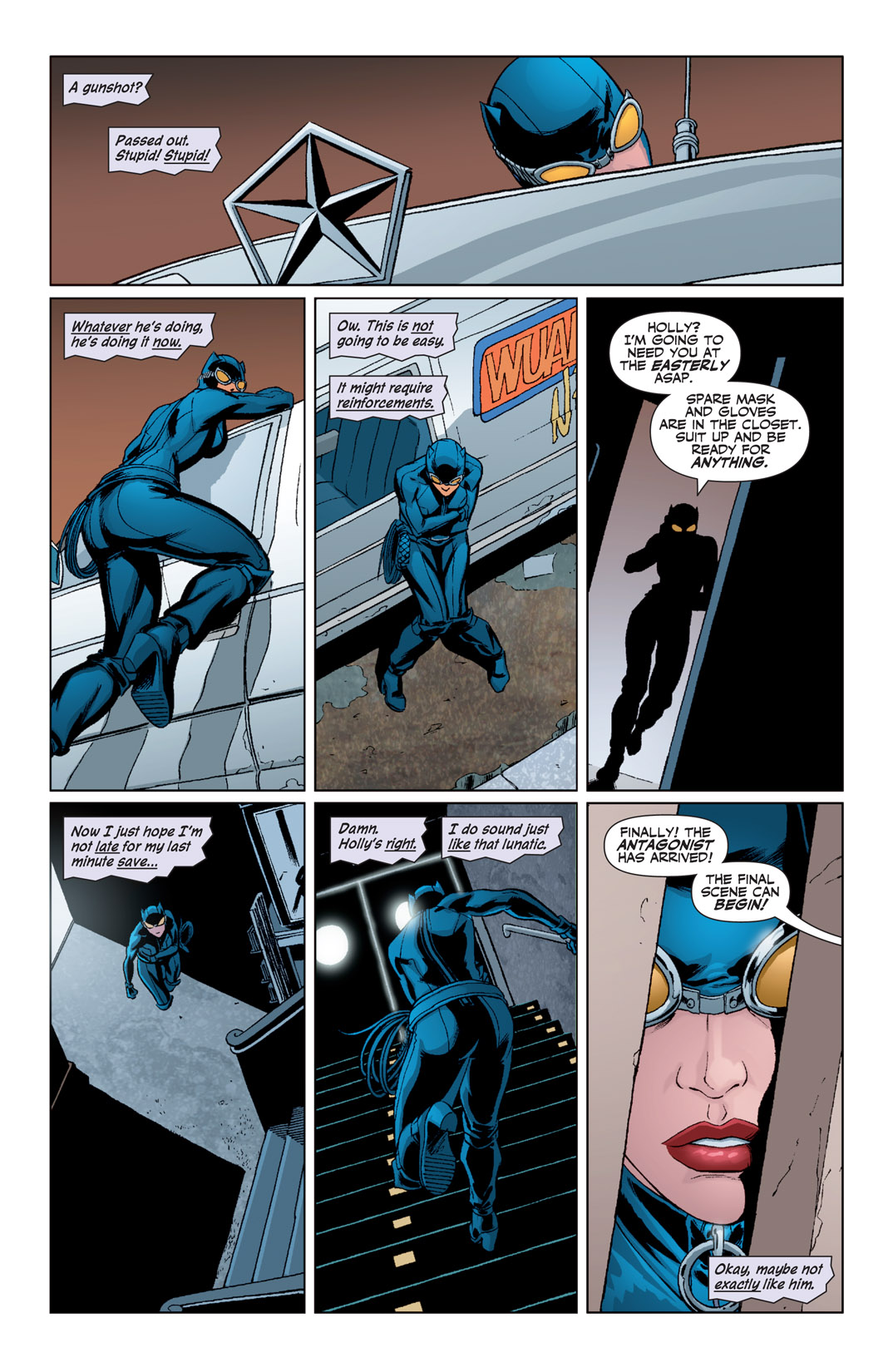 Read online Catwoman (2002) comic -  Issue #61 - 15