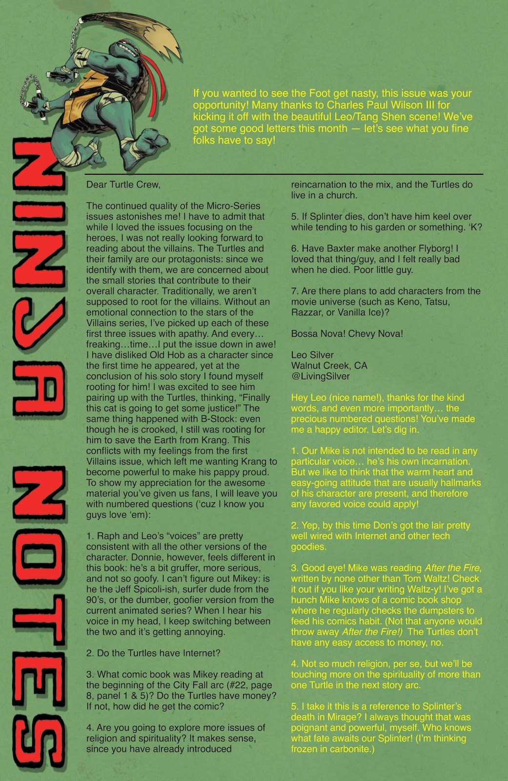 Teenage Mutant Ninja Turtles (2011) issue 26 - Page 29