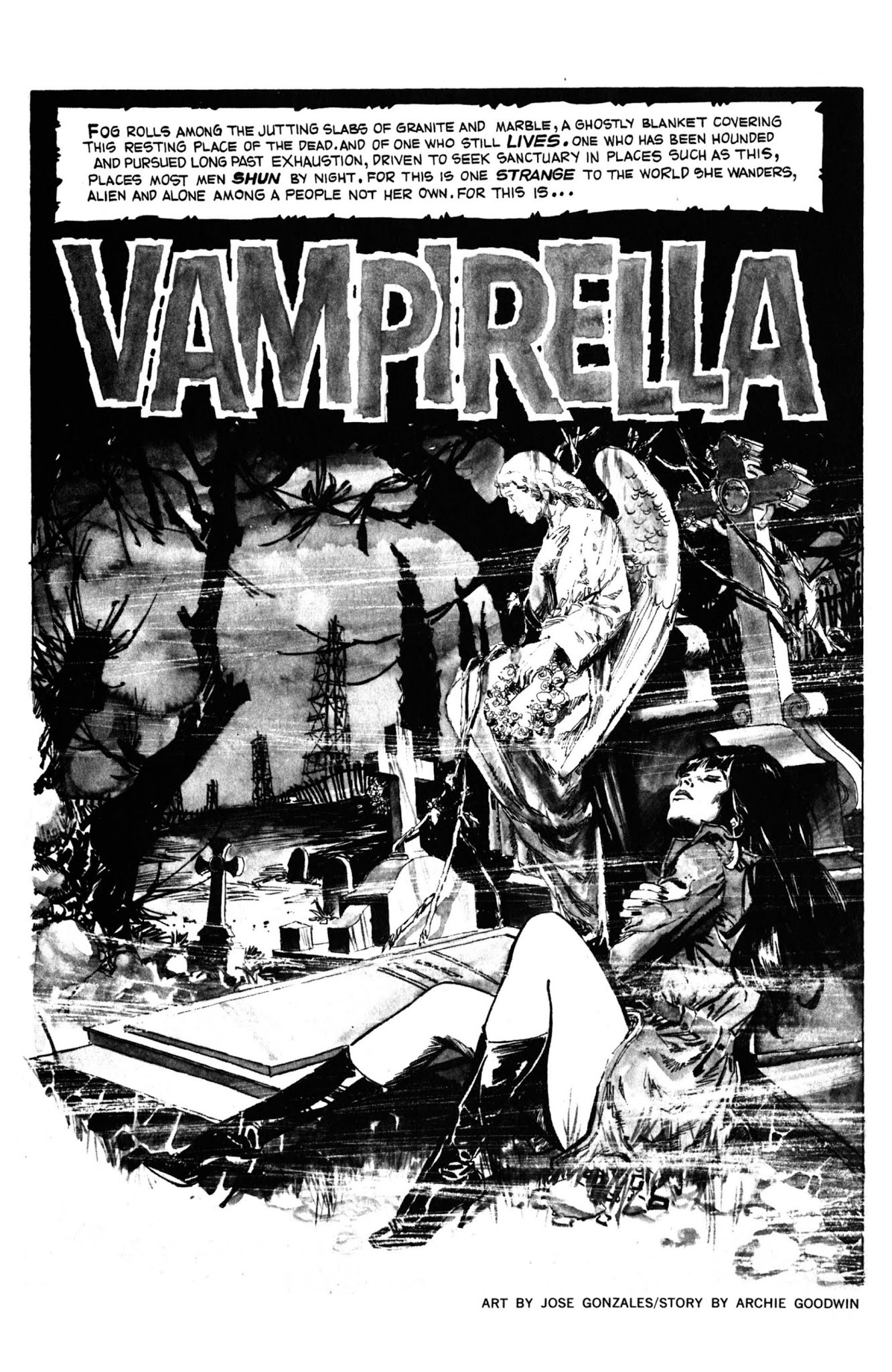 Read online Vampirella: The Essential Warren Years comic -  Issue # TPB (Part 1) - 65