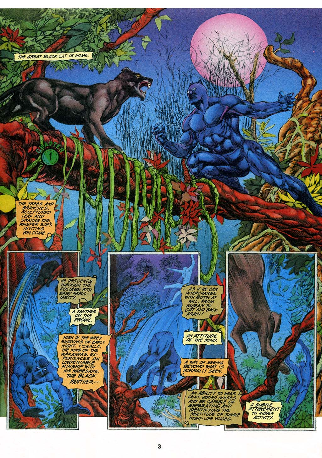 Black Panther: Panthers Prey 1 Page 4
