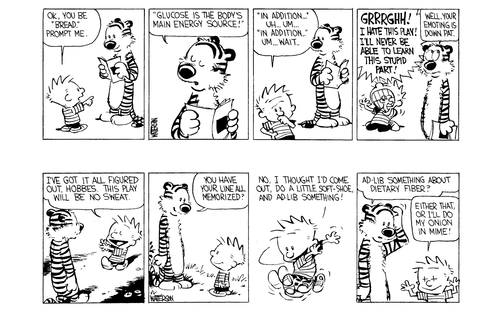 Read online Calvin and Hobbes comic -  Issue #2 - 55