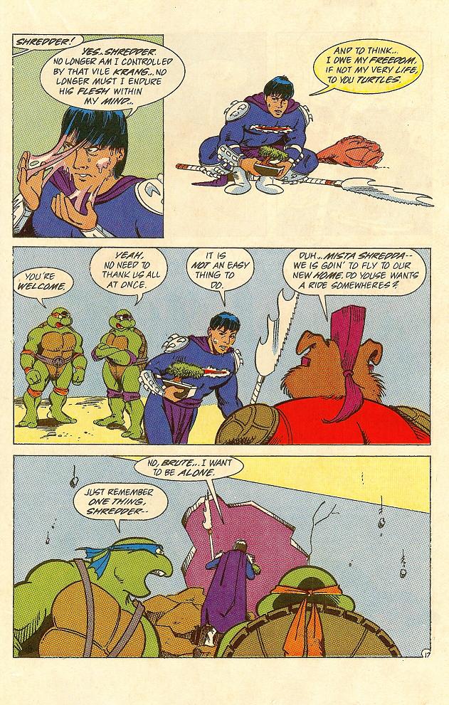 Read online Teenage Mutant Ninja Turtles Adventures (1989) comic -  Issue #25 - 18