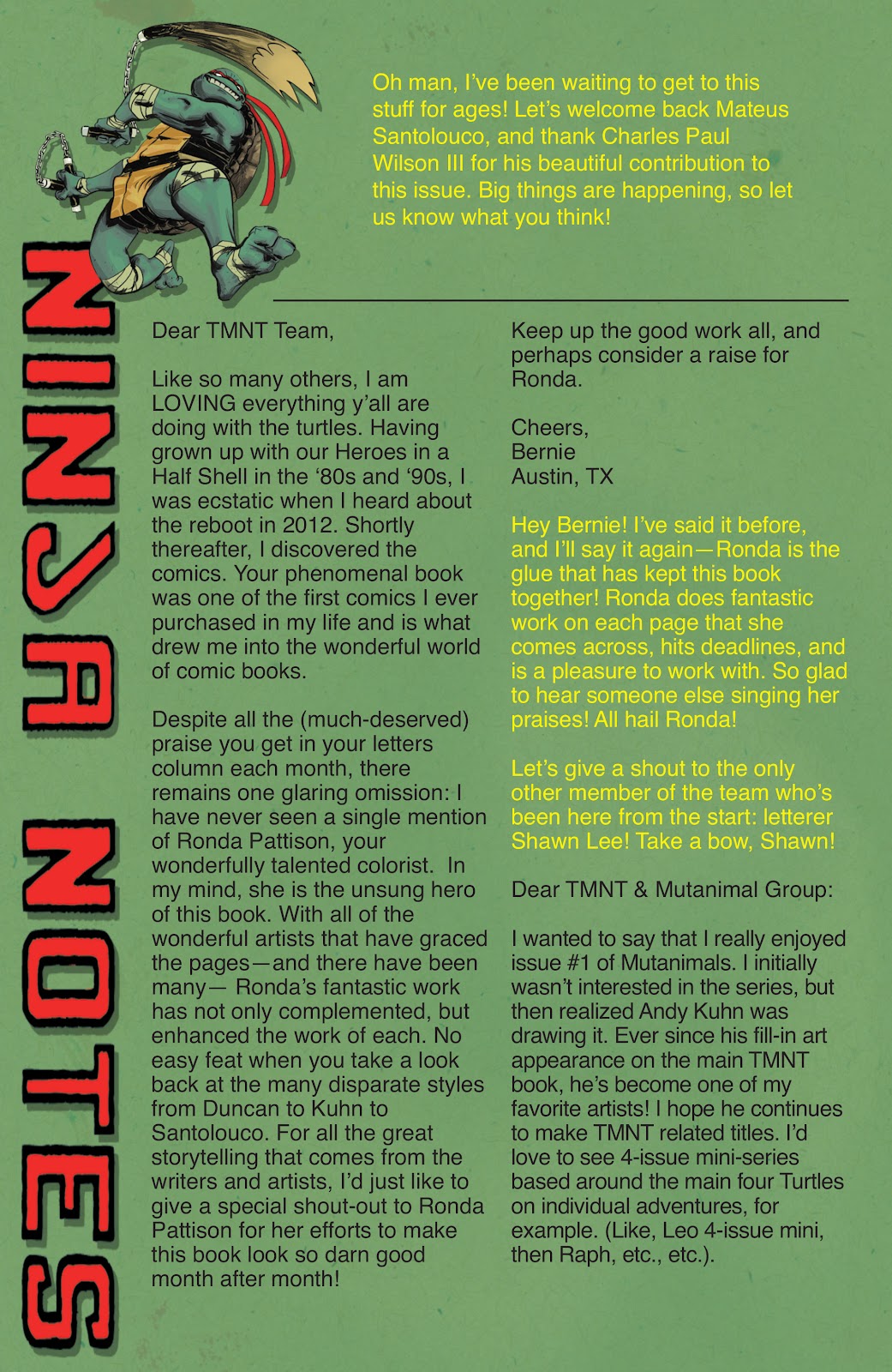 Teenage Mutant Ninja Turtles (2011) issue 45 - Page 26