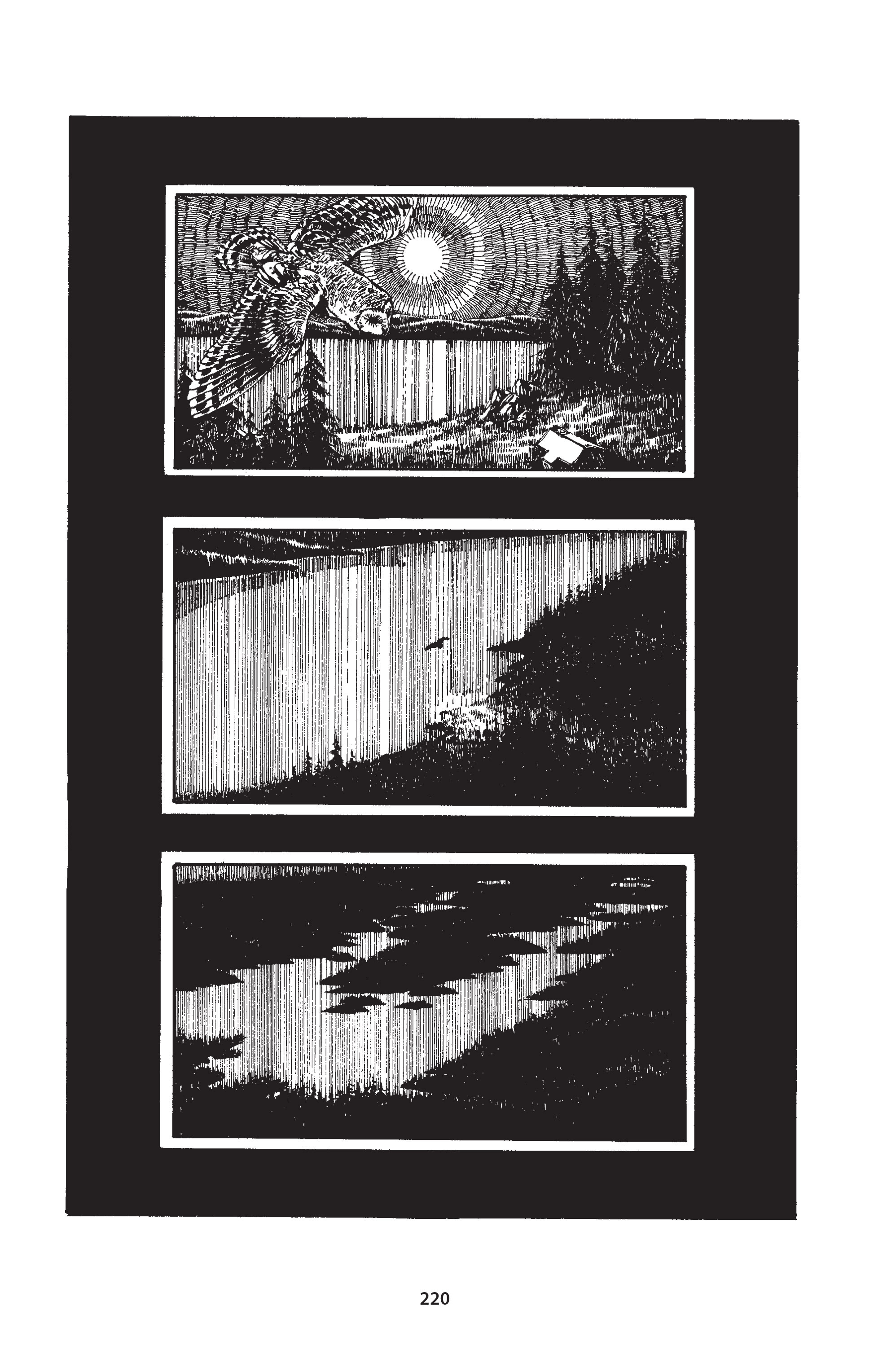 Read online The Puma Blues comic -  Issue # TPB (Part1) - 229