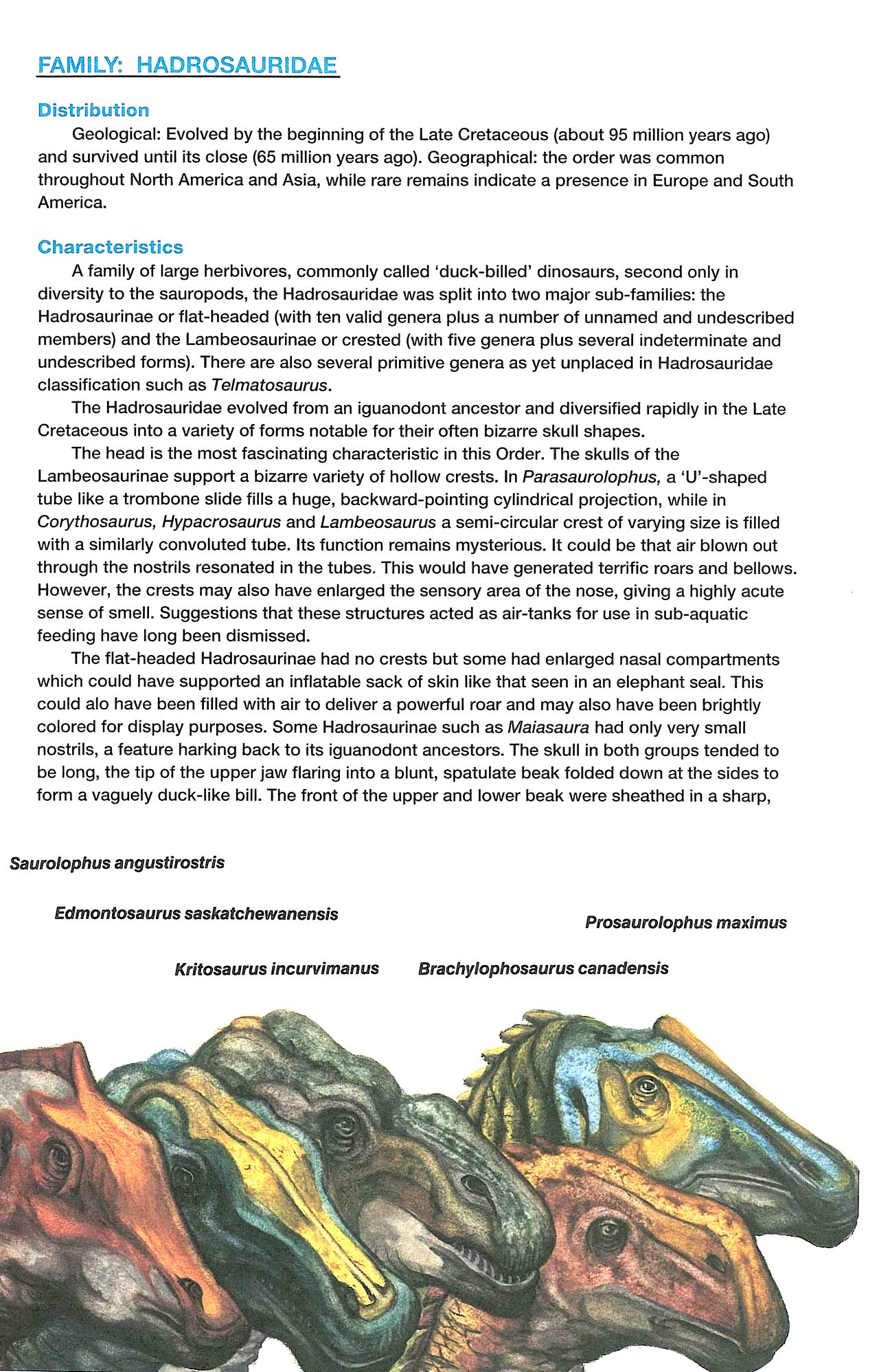 Read online Dinosaurs, A Celebration comic -  Issue #3 - 22